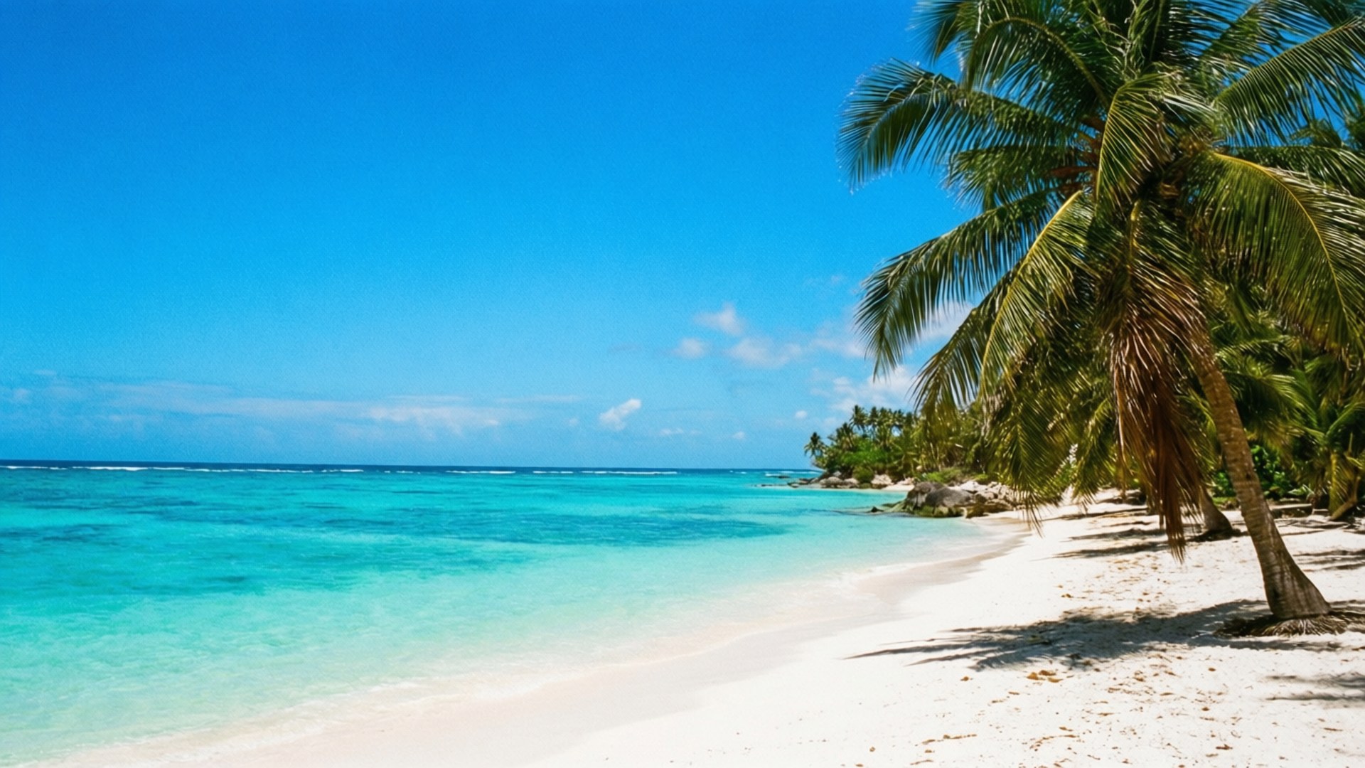 Tropical June Beach, white sandy beach, turquoise waters, Full HD Desktop Wallpaper