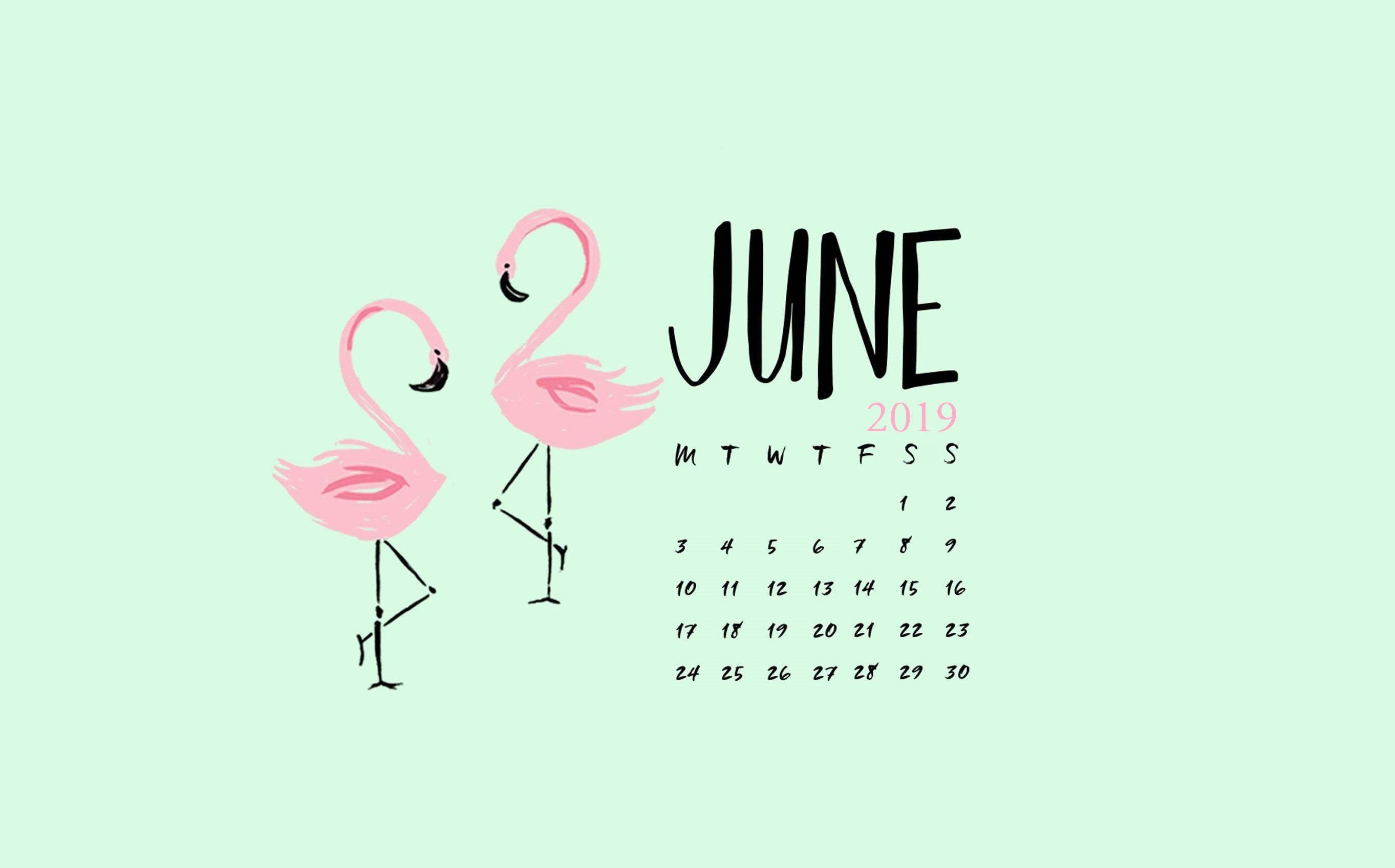 pink flamingos, June 2019 calendar, mint green background, 2K Desktop Wallpaper