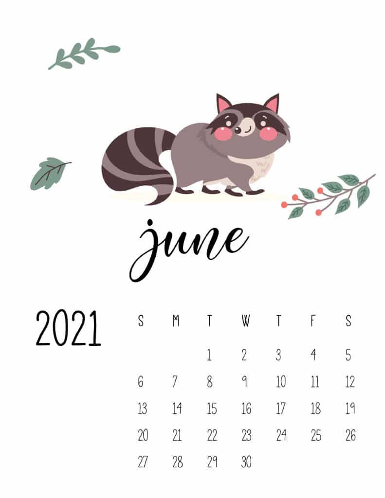 racoon june calendar 2021, June 2021 calendar, cartoon raccoon, SD Phone Wallpaper