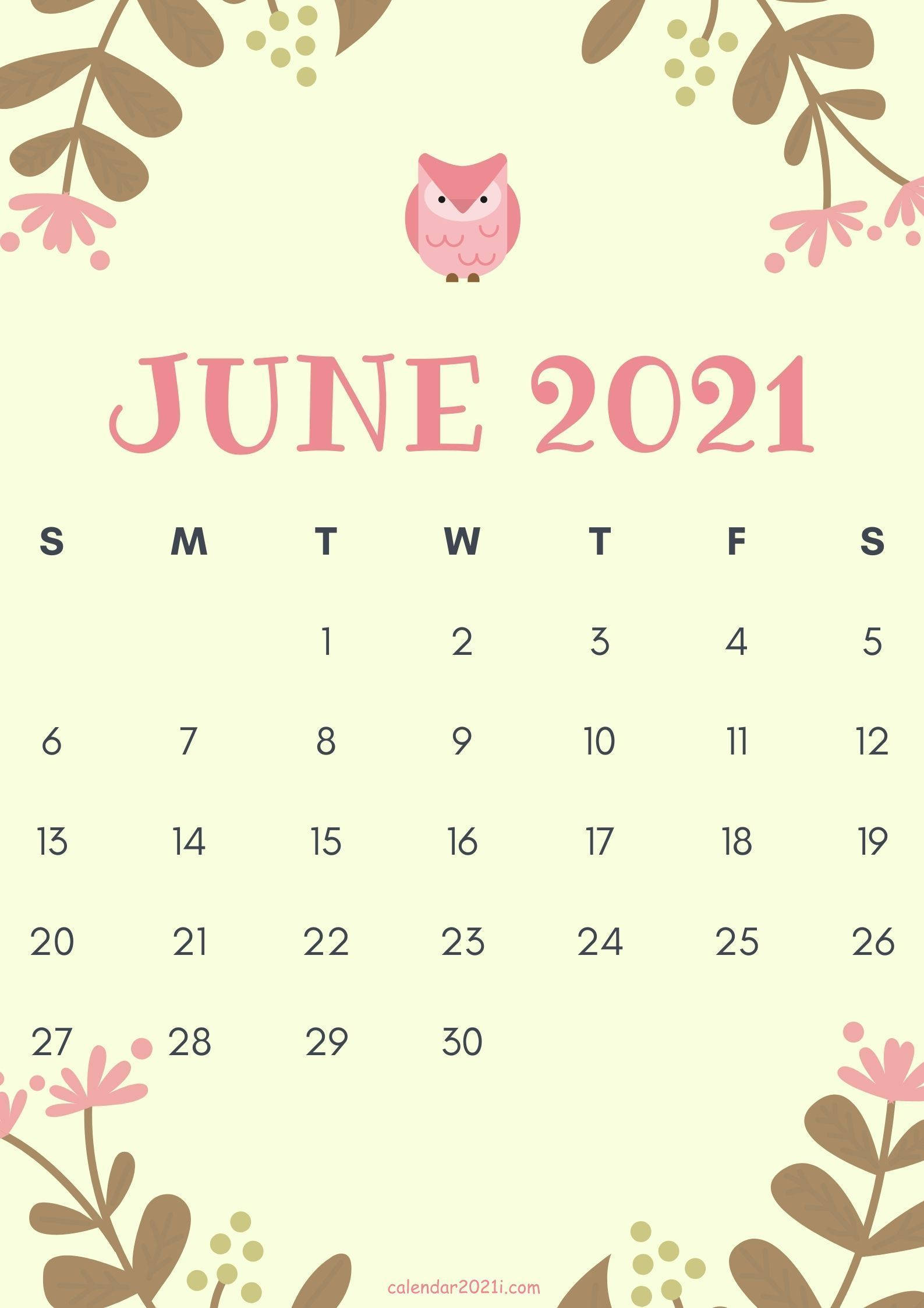 June 2021 calendar, pastel pink, cute owl, Full HD Phone Wallpaper