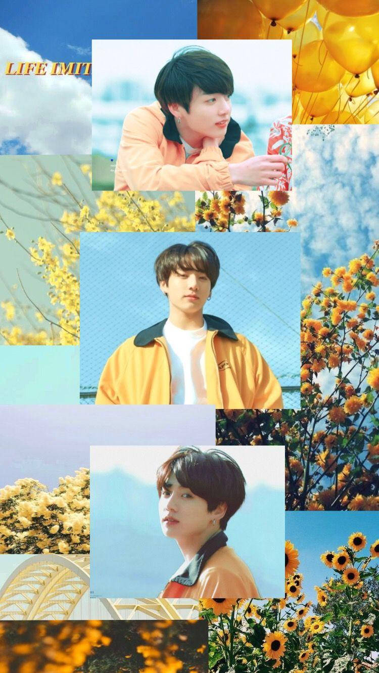 Jungkook Aesthetic, orange jackets, sunflower fields, HD Phone Wallpaper