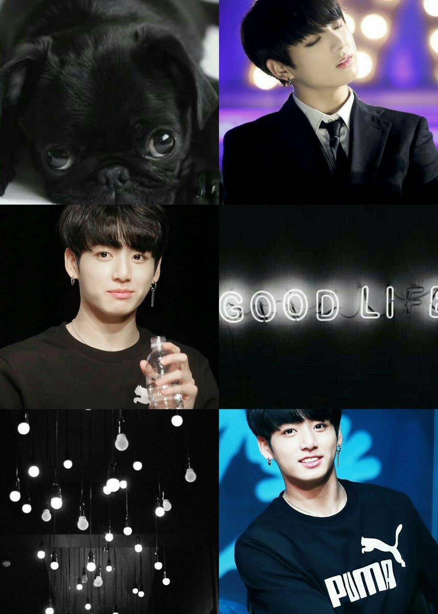 Jungkook Aesthetic, black pug puppy, young man, SD Phone Wallpaper