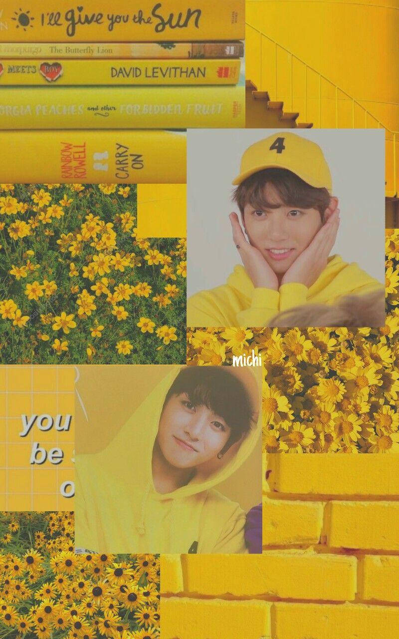 Jungkook Aesthetic, yellow, sunflowers, HD Phone Wallpaper