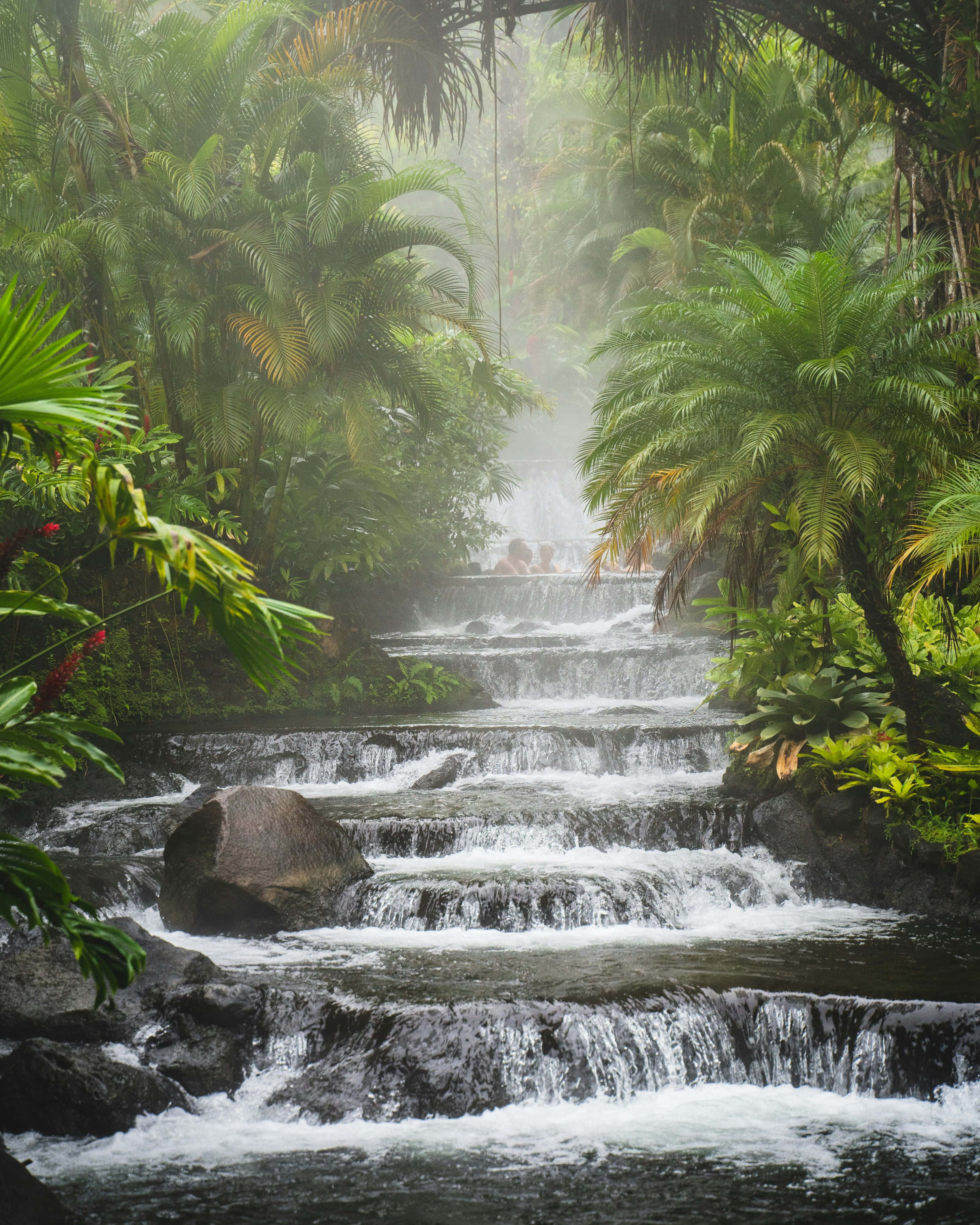 misty tropical waterfall, dark rocks, lush green palm trees, 4K Phone Wallpaper