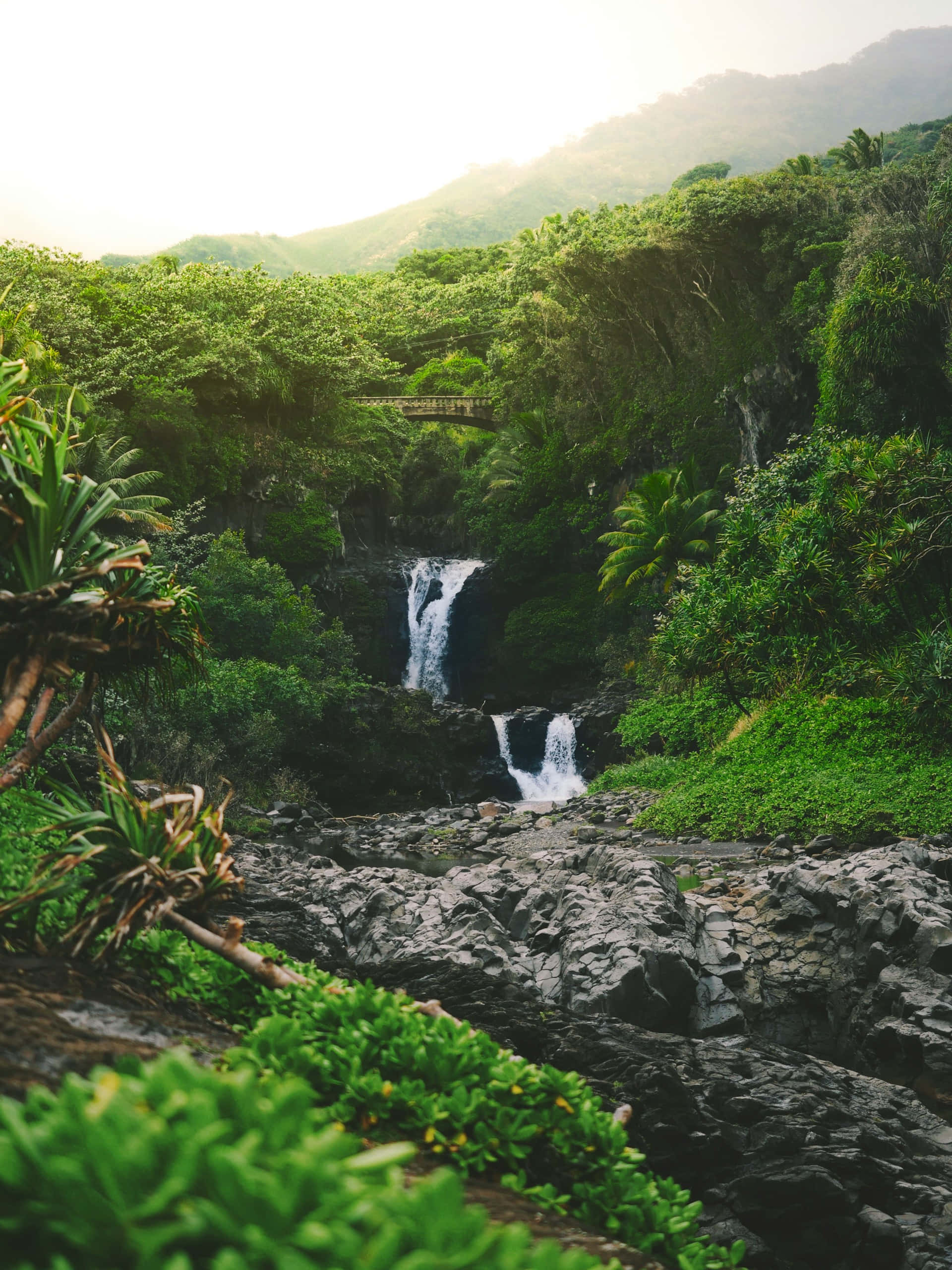 tropical waterfall, dark rocks, lush green foliage, 2K Phone Wallpaper