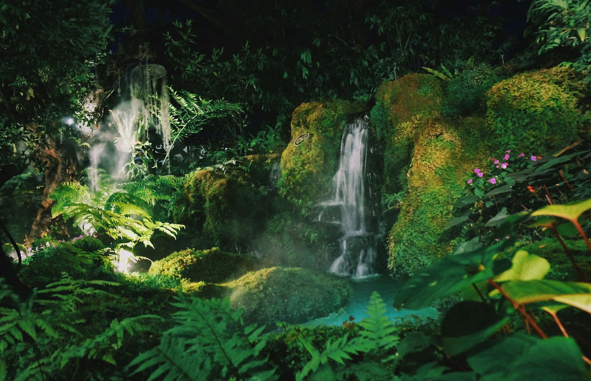 enchanted jungle, waterfall, nighttime, Full HD Desktop Wallpaper