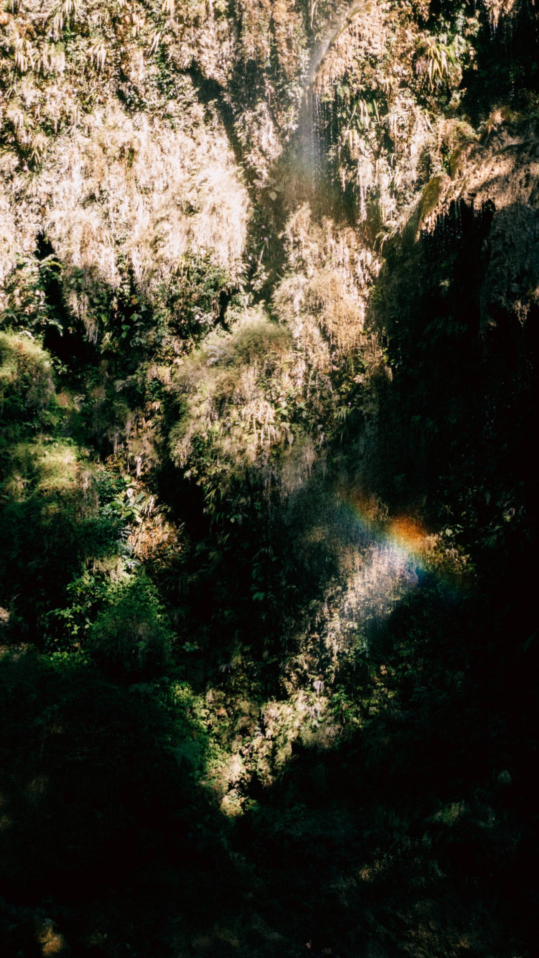 rainbow, jungle, waterfall, Full HD Phone Wallpaper