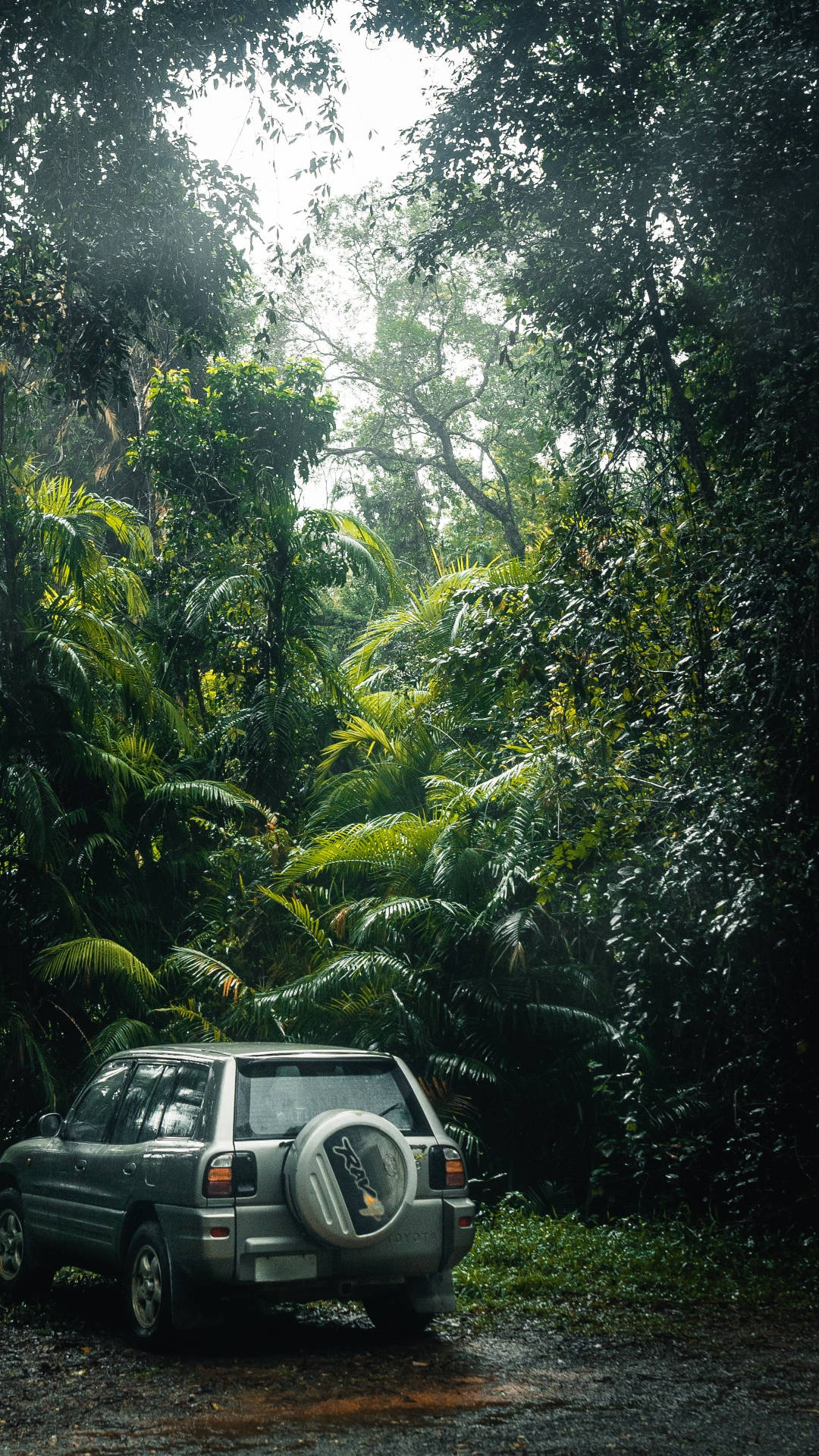 silver SUV, muddy trail, dense tropical foliage, Full HD Phone Wallpaper