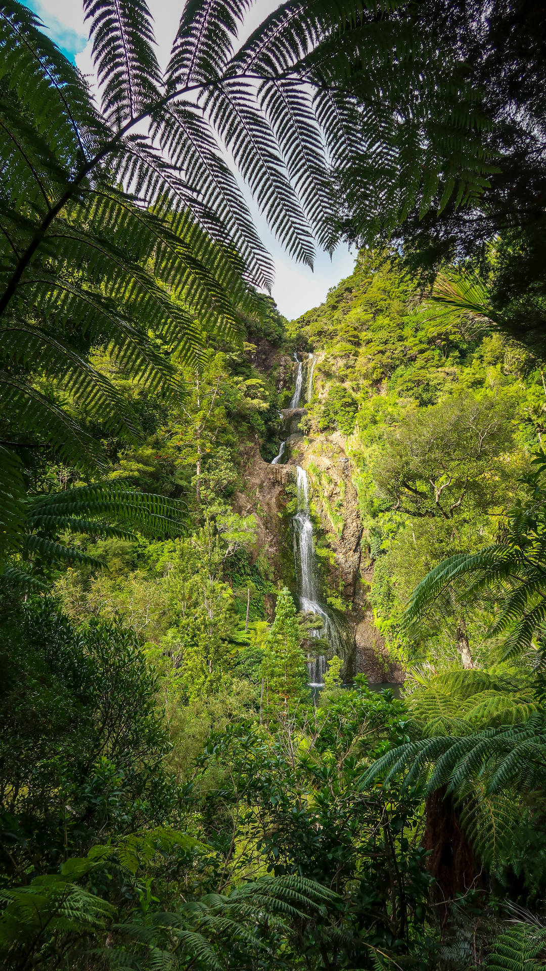 Waterfalls, jungle, bright daylight, Full HD Phone Wallpaper