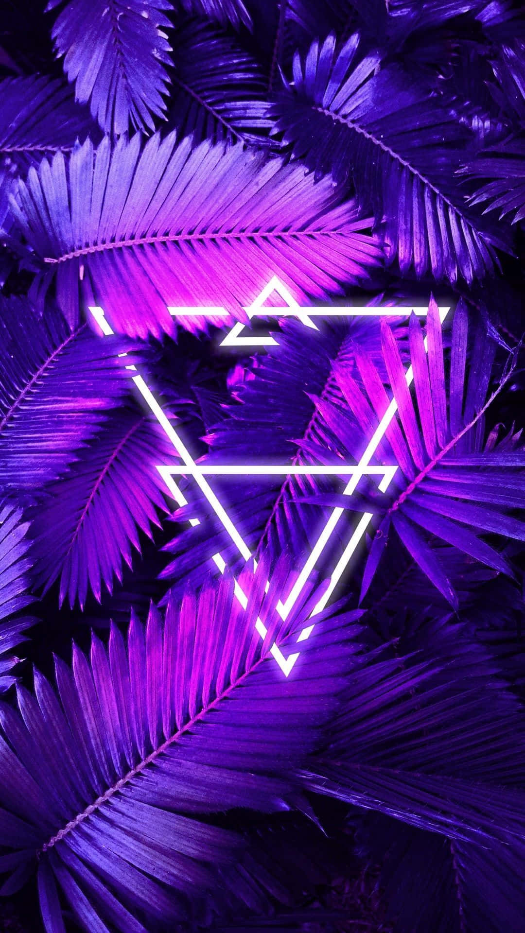 Trendy Neon Jungle Leaves iPhone, neon white geometric triangle light, vibrant purple palm leaves, Full HD Phone Wallpaper