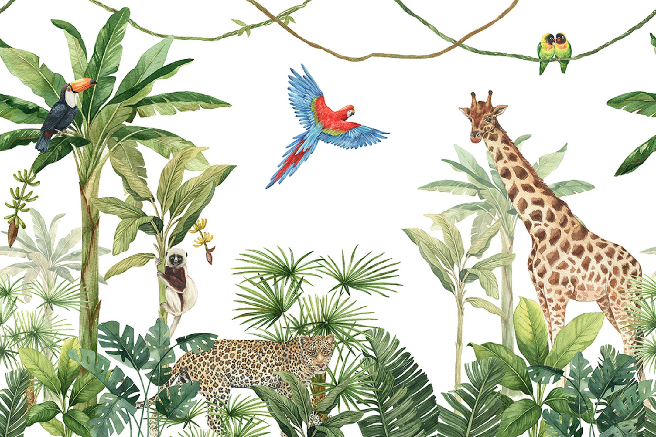 giraffe, leopard, toucan, Full HD Desktop Wallpaper