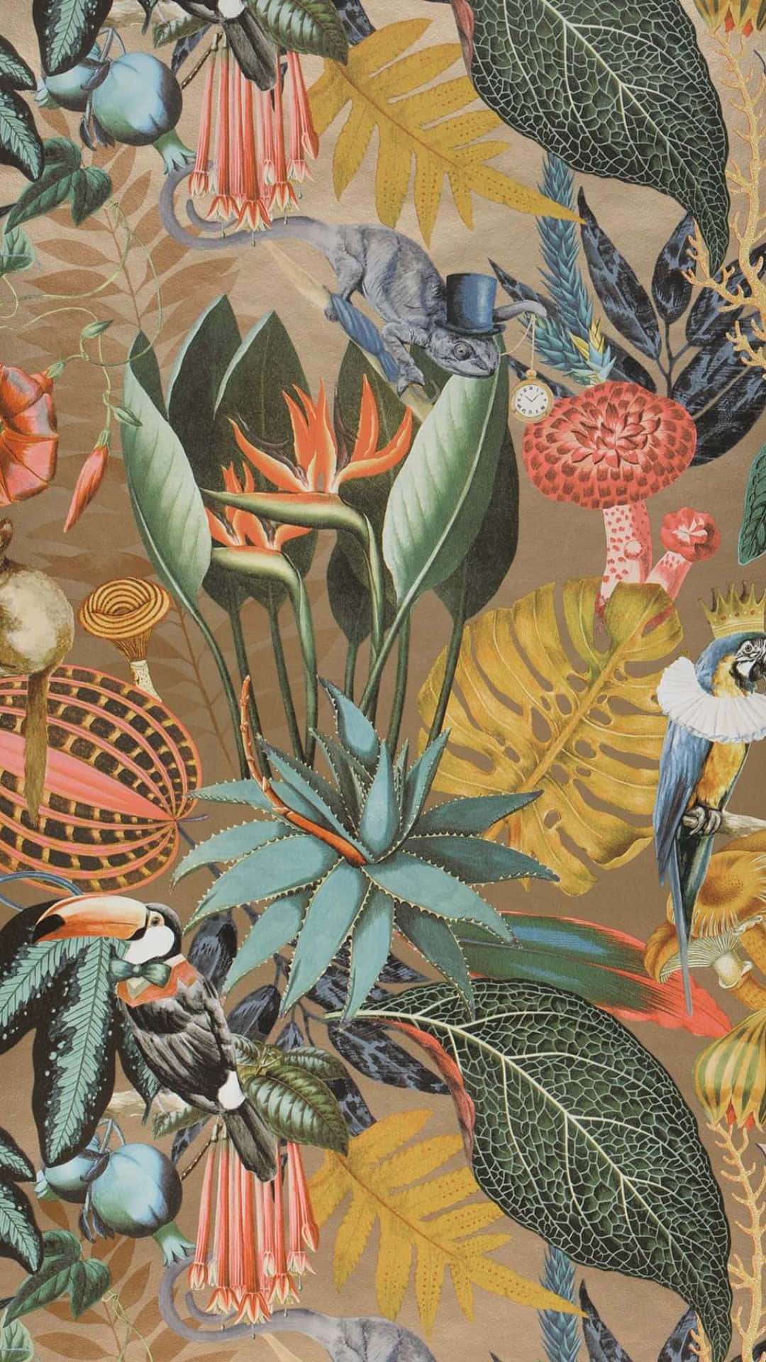 toucans, parrots, chameleons, Full HD Phone Wallpaper