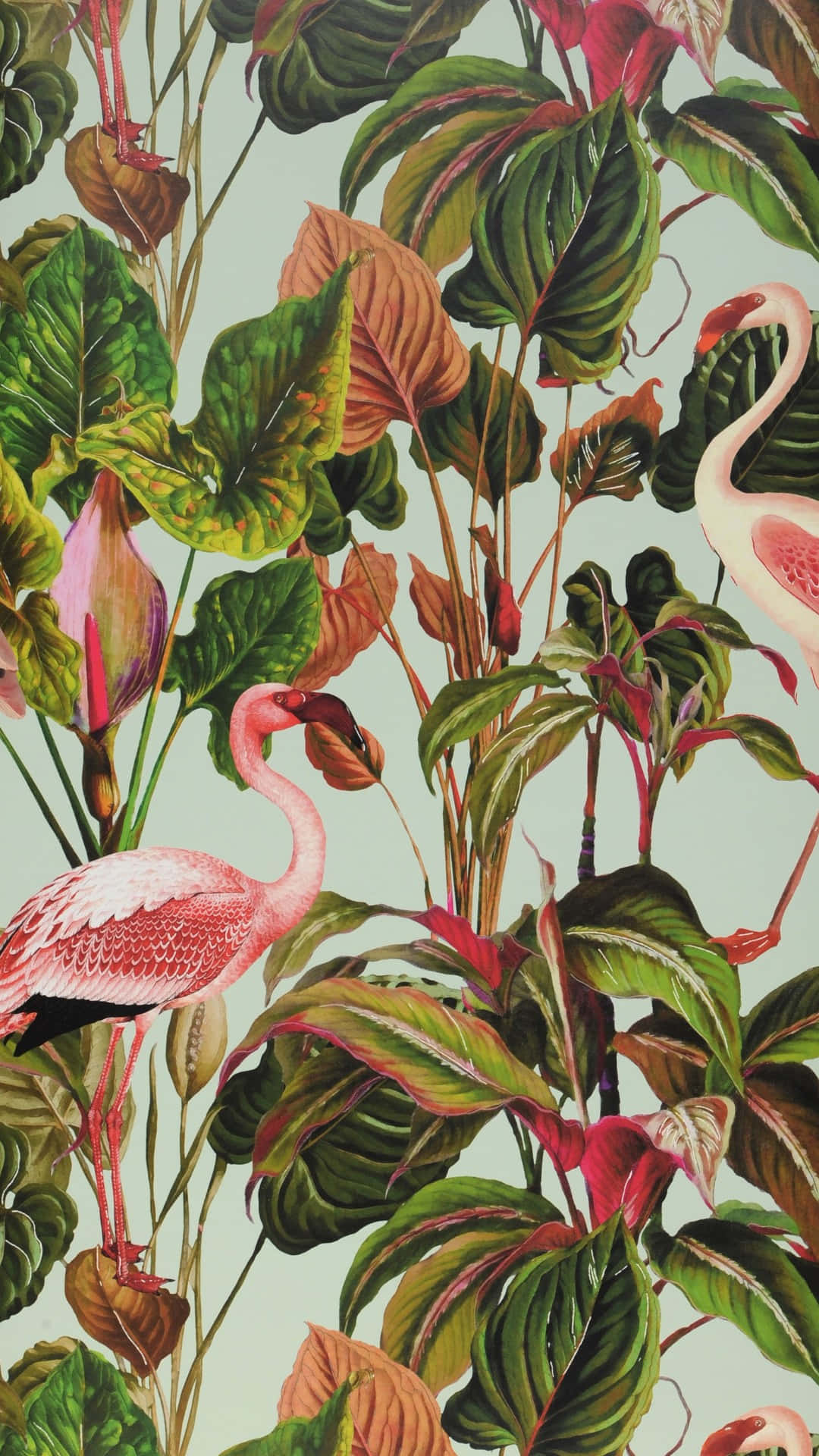 jungle print, flamingos, vibrant pink, Full HD Phone Wallpaper