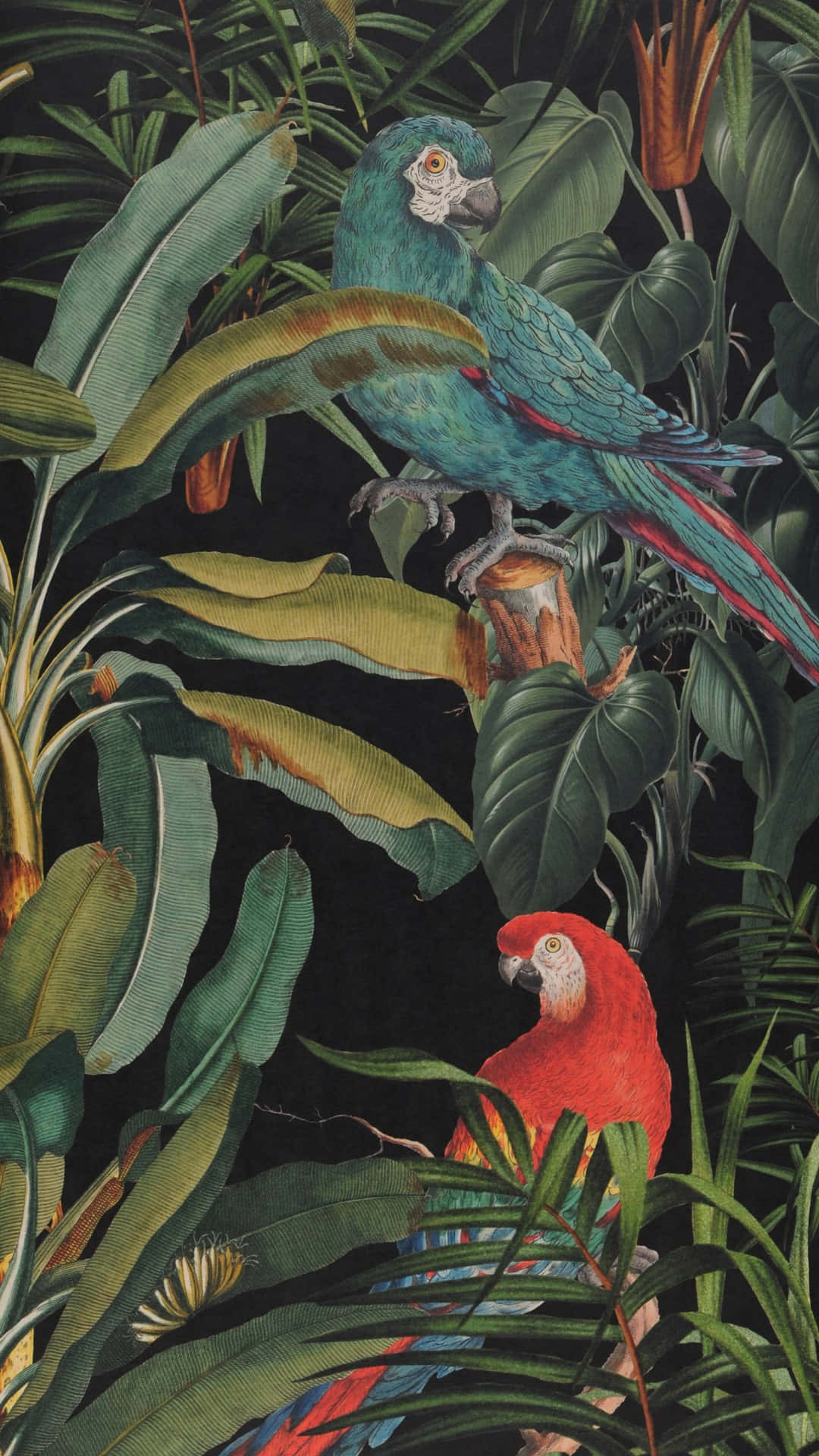 jungle print, exotic parrots, vibrant blue and red macaw, Full HD Phone Wallpaper