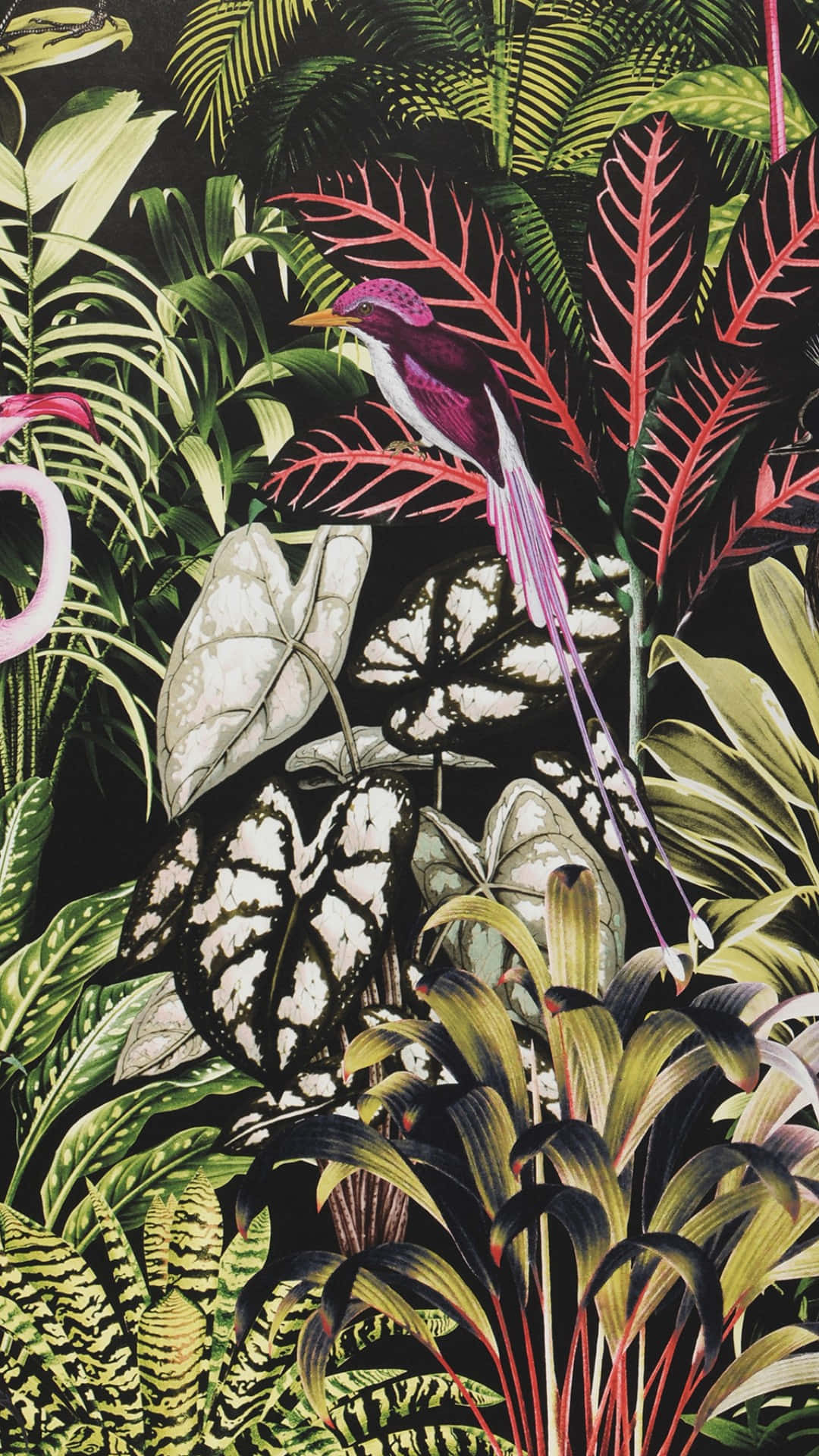 jungle print, tropical foliage, magenta bird, Full HD Phone Wallpaper