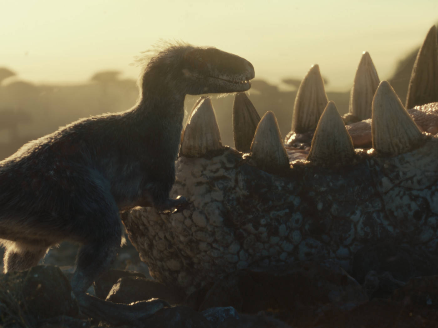 Jurassic World Dominion, baby dinosaur, feathered dinosaur, HD Desktop Wallpaper