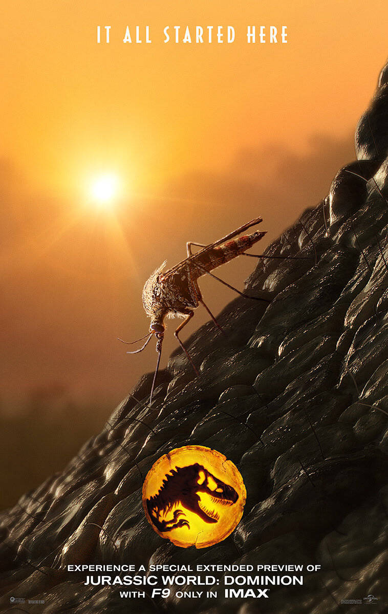 Jurassic World Dominion, mosquito, sunset, SD Phone Wallpaper