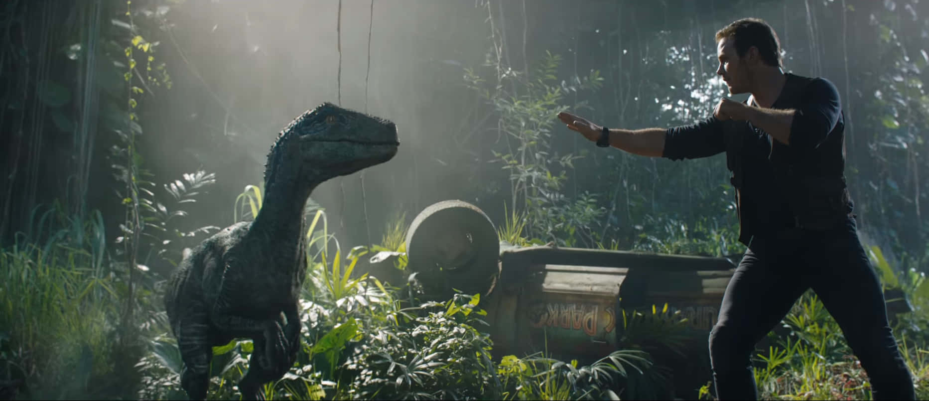 Blue, Jurassic World, raptor, HD Desktop Wallpaper