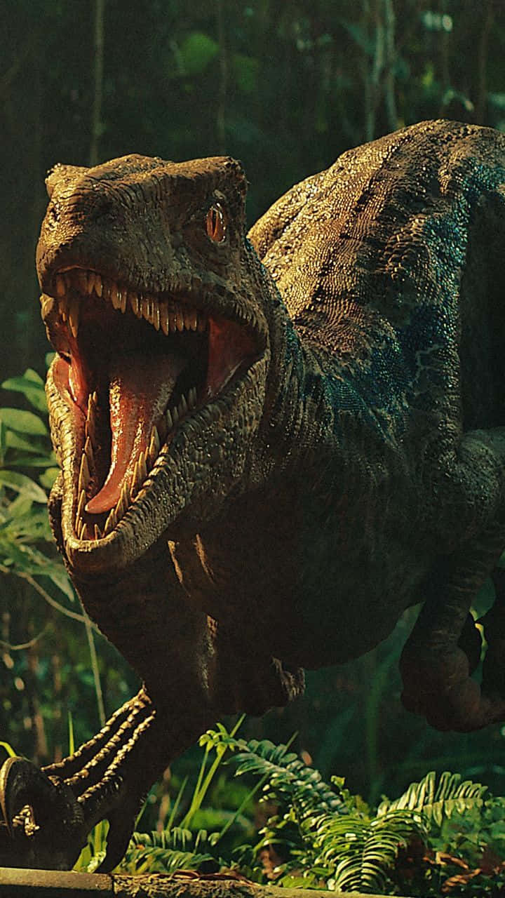 Blue, Jurassic World, roar, HD Phone Wallpaper