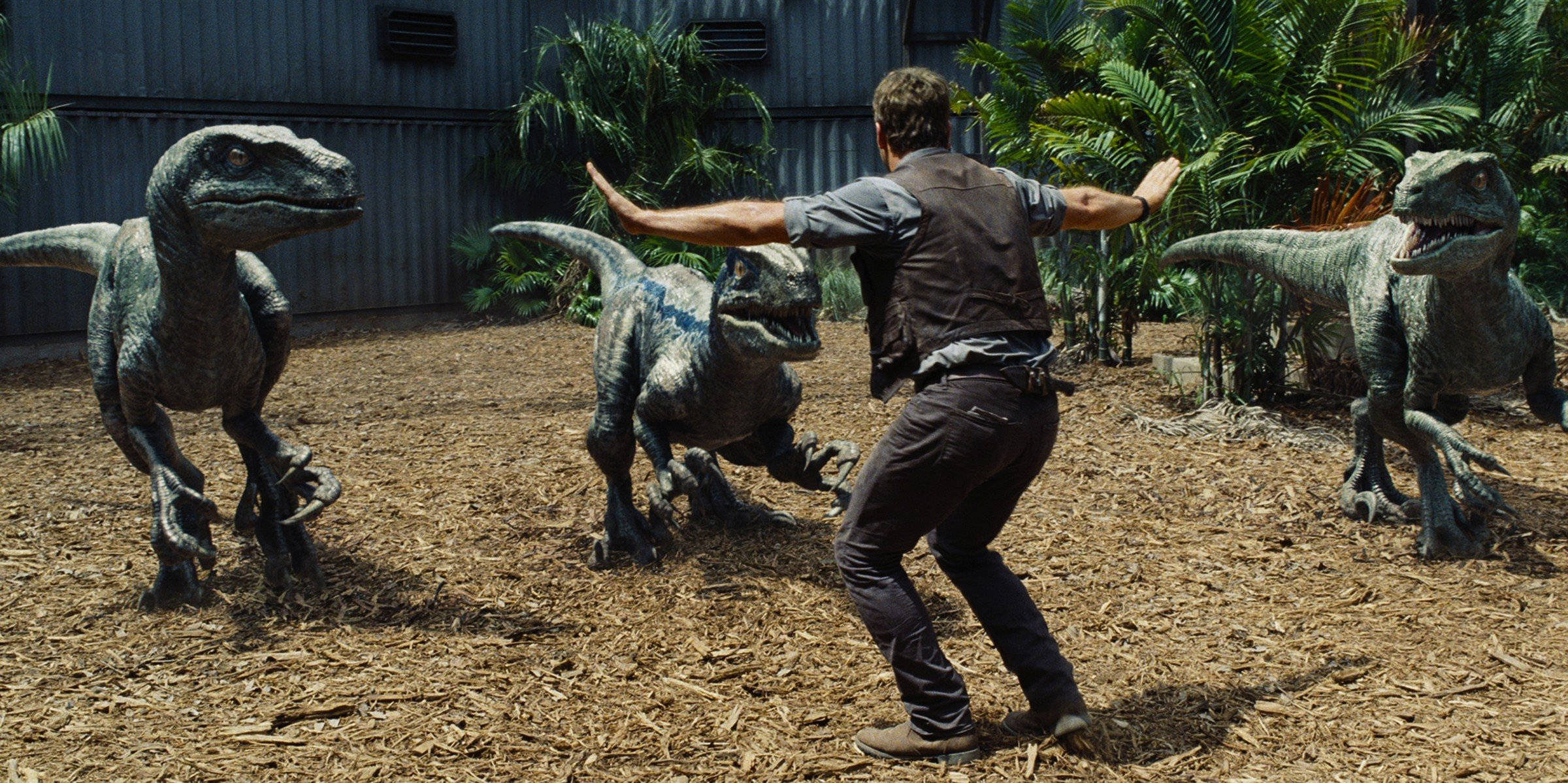 Jurassic World, raptors, sunlit enclosure, Full HD Desktop Wallpaper