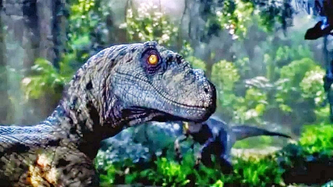 Blue, Jurassic World, glowing orange eyes, HD Desktop Wallpaper