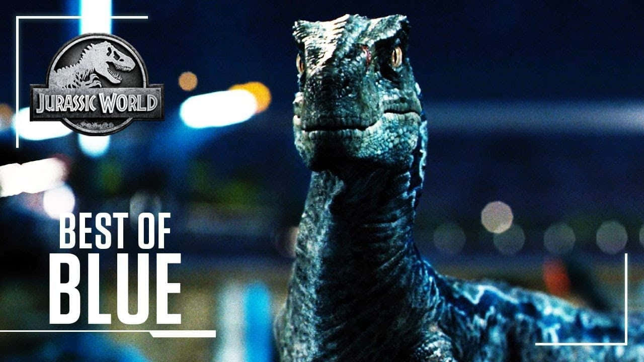Blue, Jurassic World, raptor, HD Desktop Wallpaper