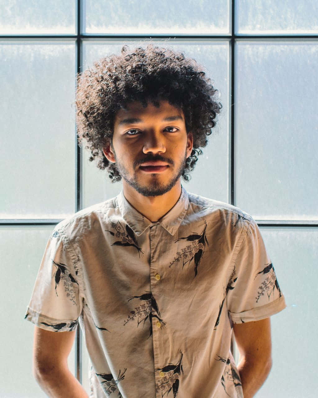 Justice Smith, voluminous afro, beige shirt, HD Phone Wallpaper