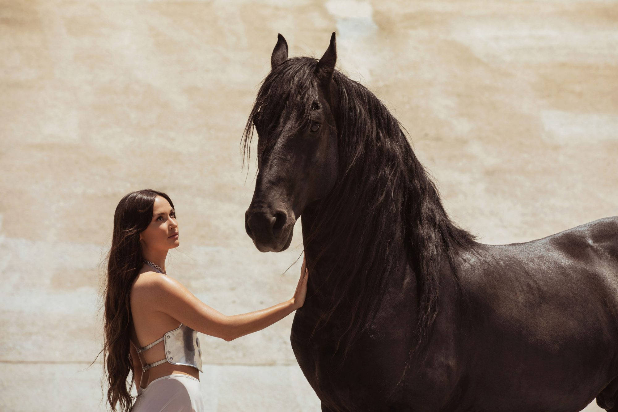 Kacey Musgraves, black horse, silver armor, Full HD Desktop Wallpaper
