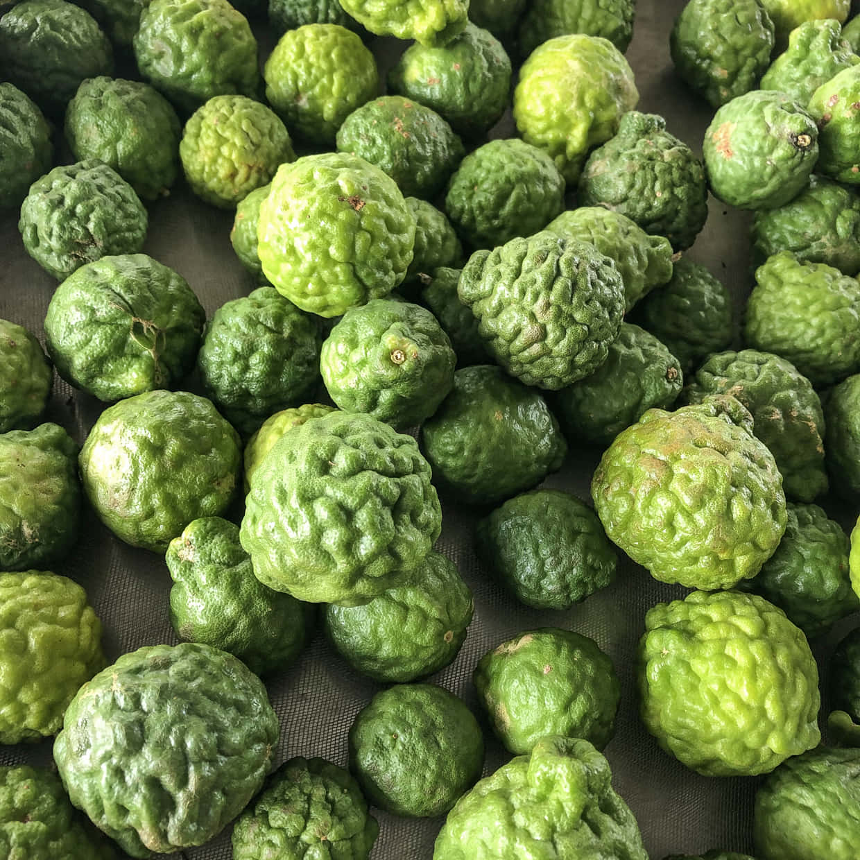kaffir lime, green citrus fruits, textured rinds, SD Desktop Wallpaper