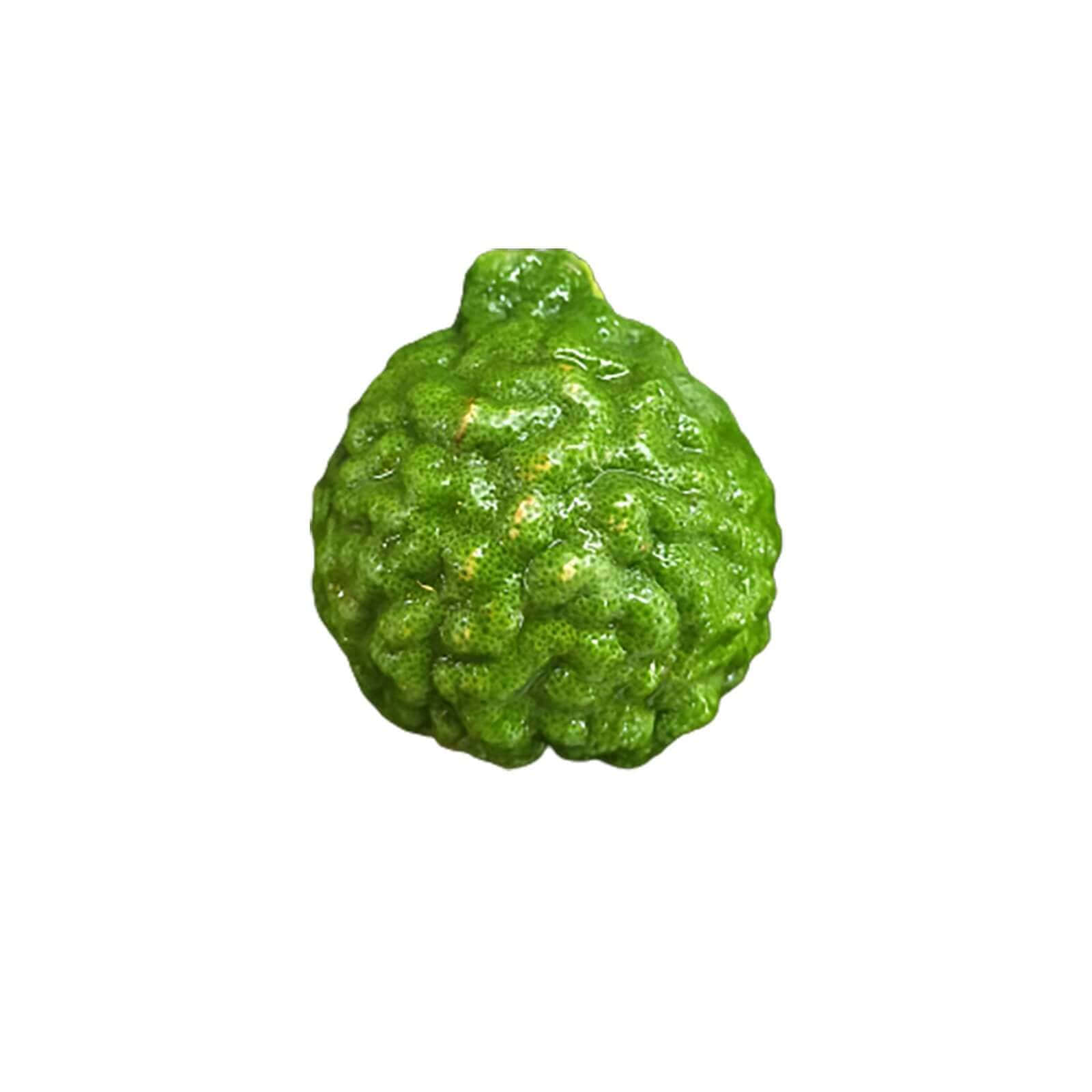 single round green kaffir lime, bumpy green lime, textured skin, HD Desktop Wallpaper
