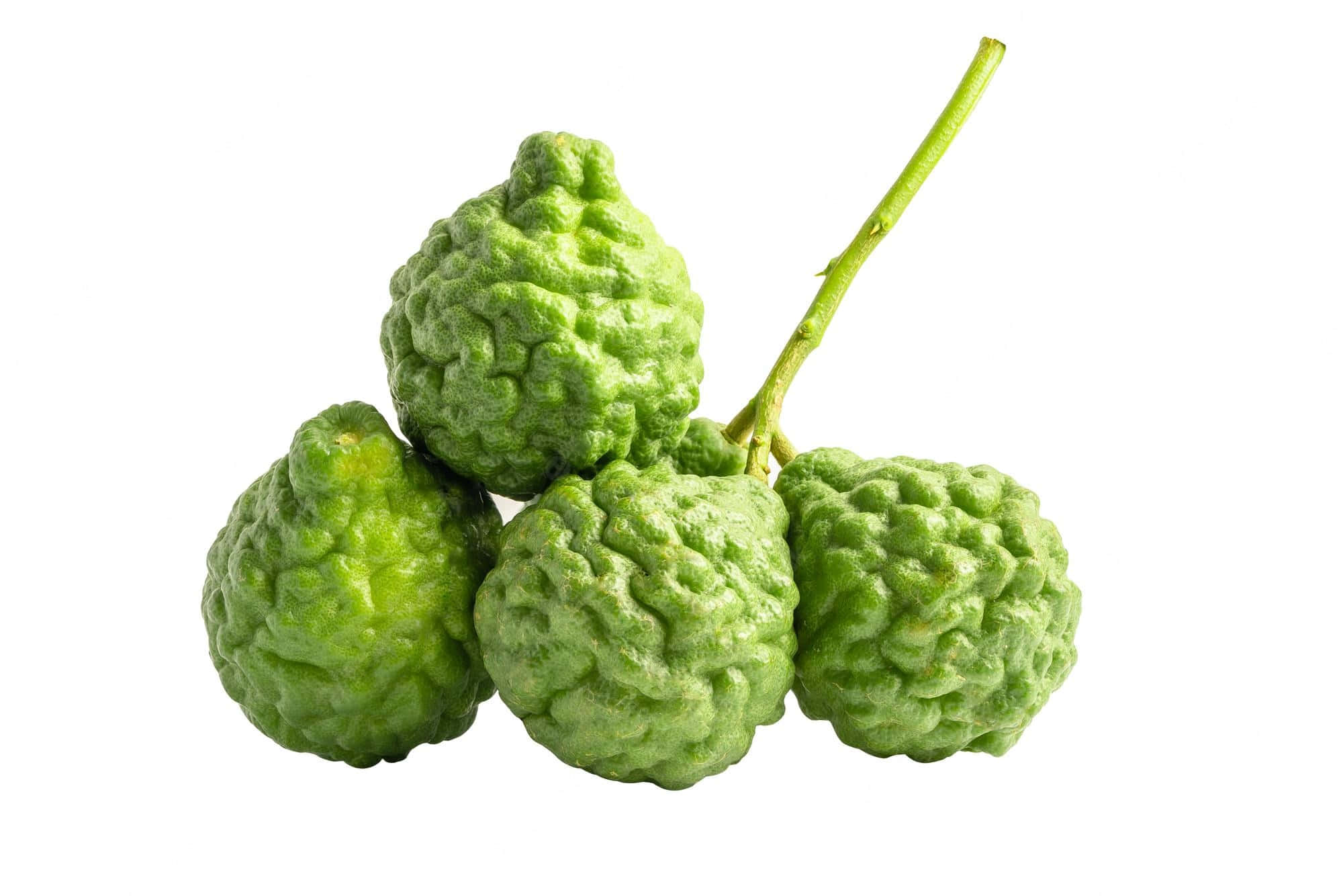 round green native kaffir lime, bumpy green citrus fruits, stem, Full HD Desktop Wallpaper