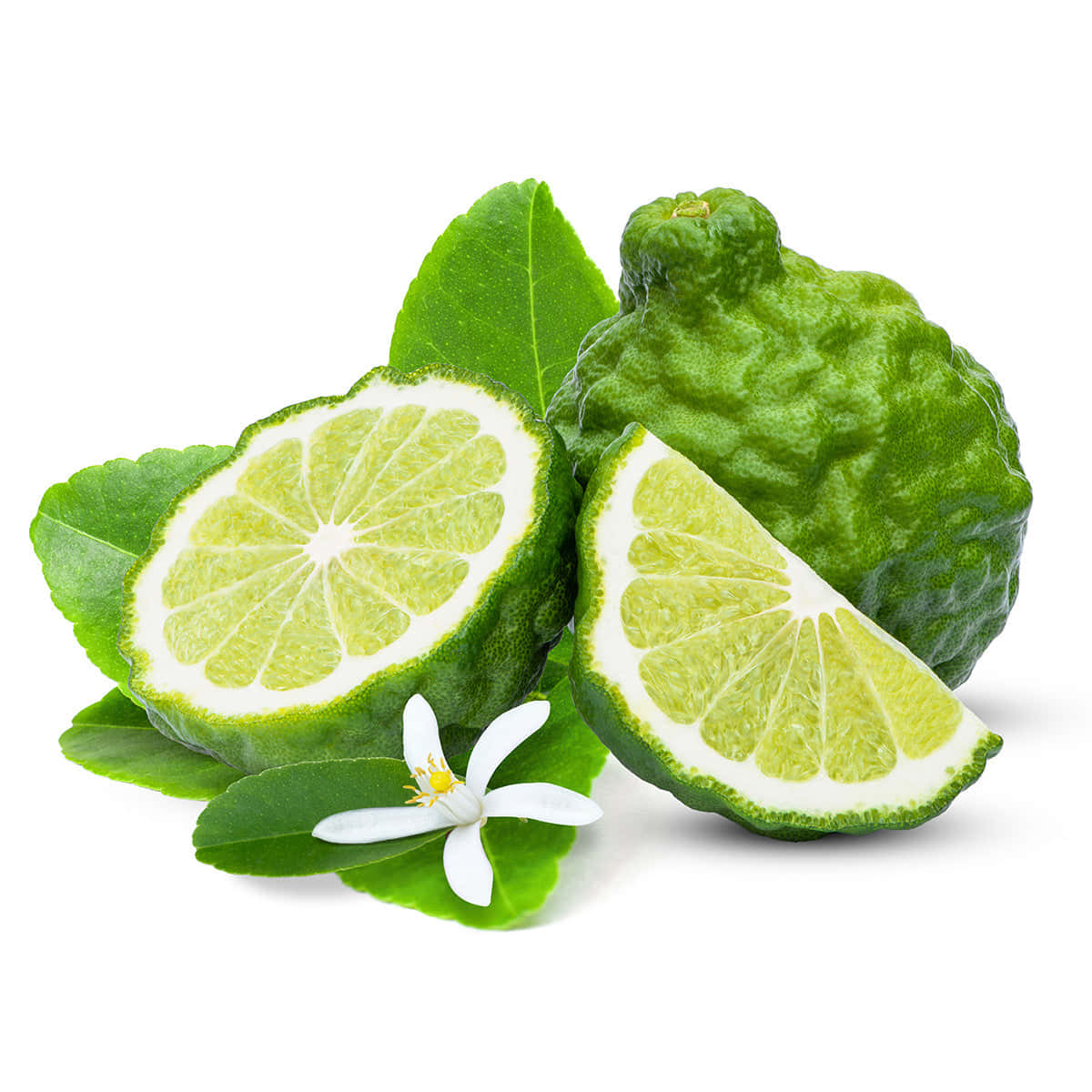 kaffir lime, sliced segments, delicate white blossom, SD Desktop Wallpaper