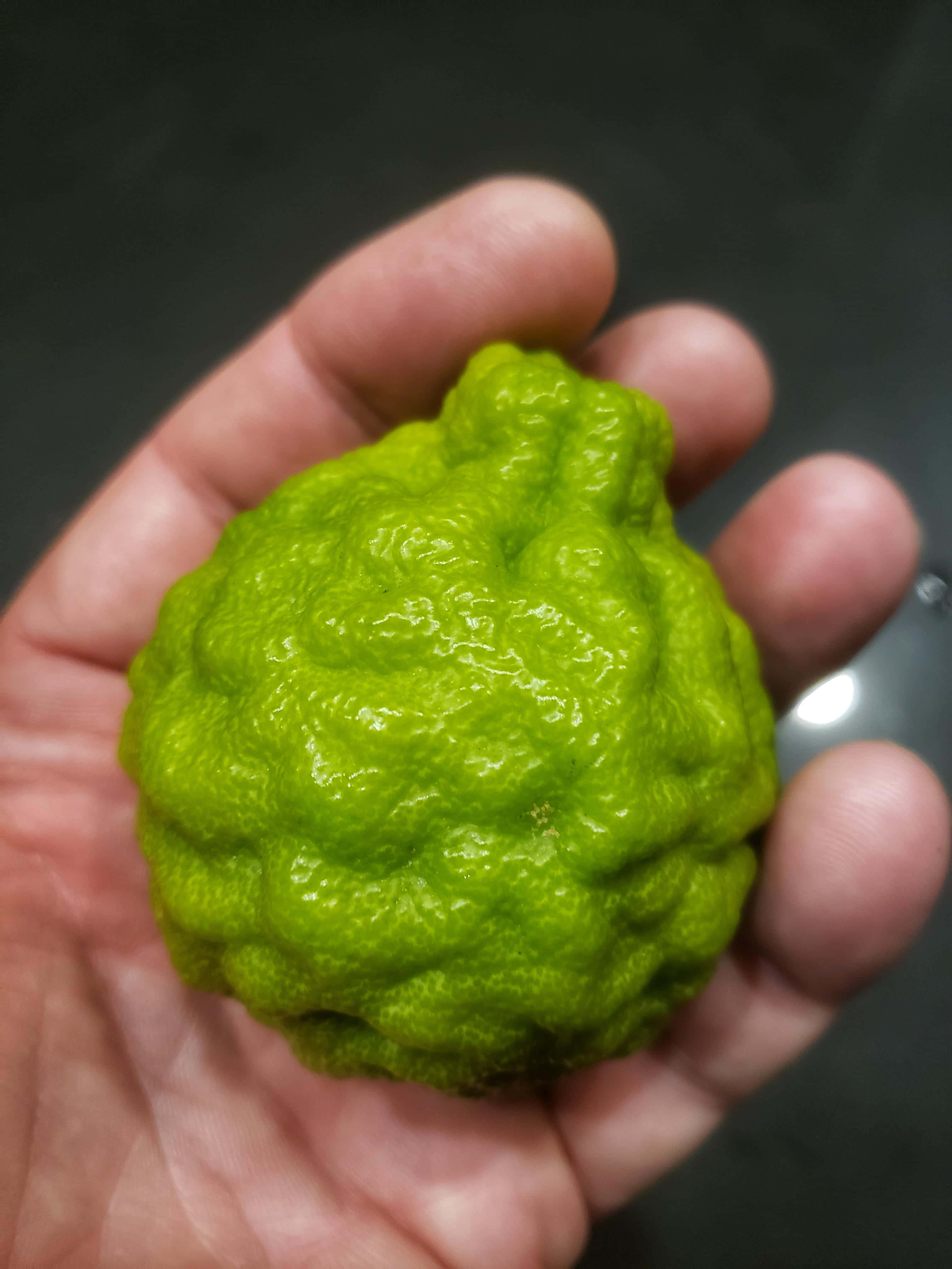 Kaffir Lime, green, bumpy, 4K Phone Wallpaper
