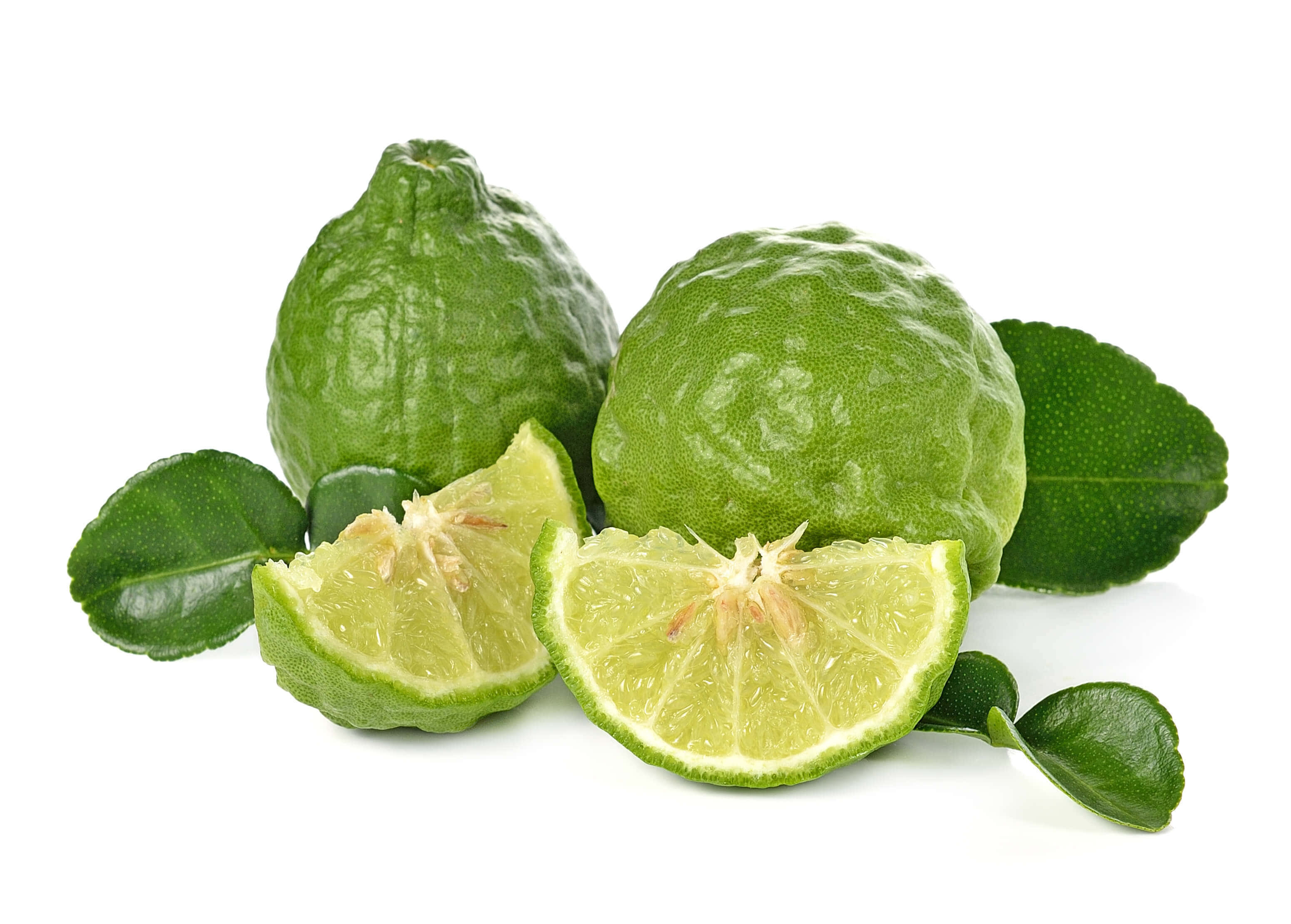 kaffir lime, merkat lime, leaves, 2K Desktop Wallpaper