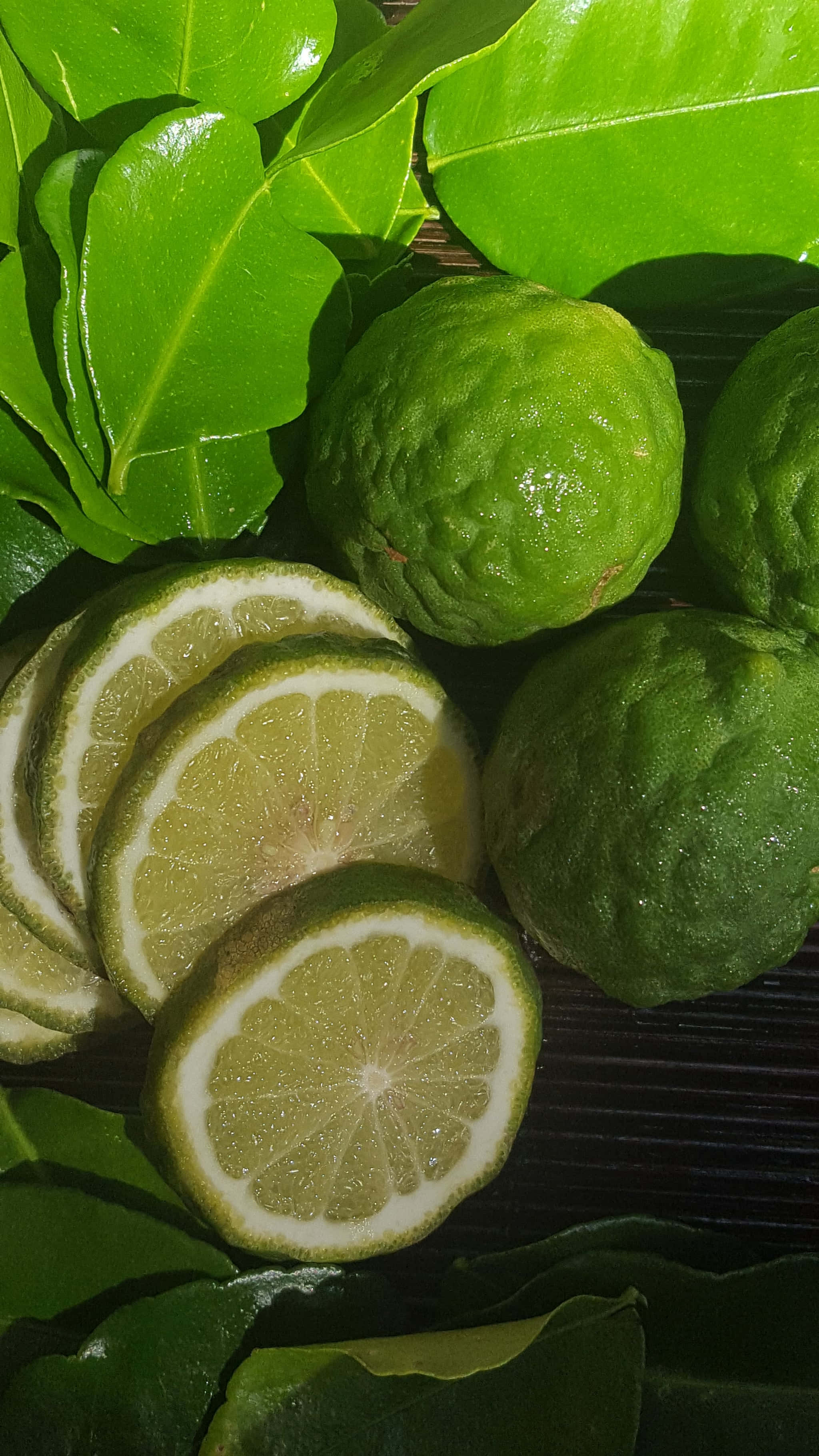 kaffir lime fruits, green leaves, glossy tropical leaves, 2K Phone Wallpaper