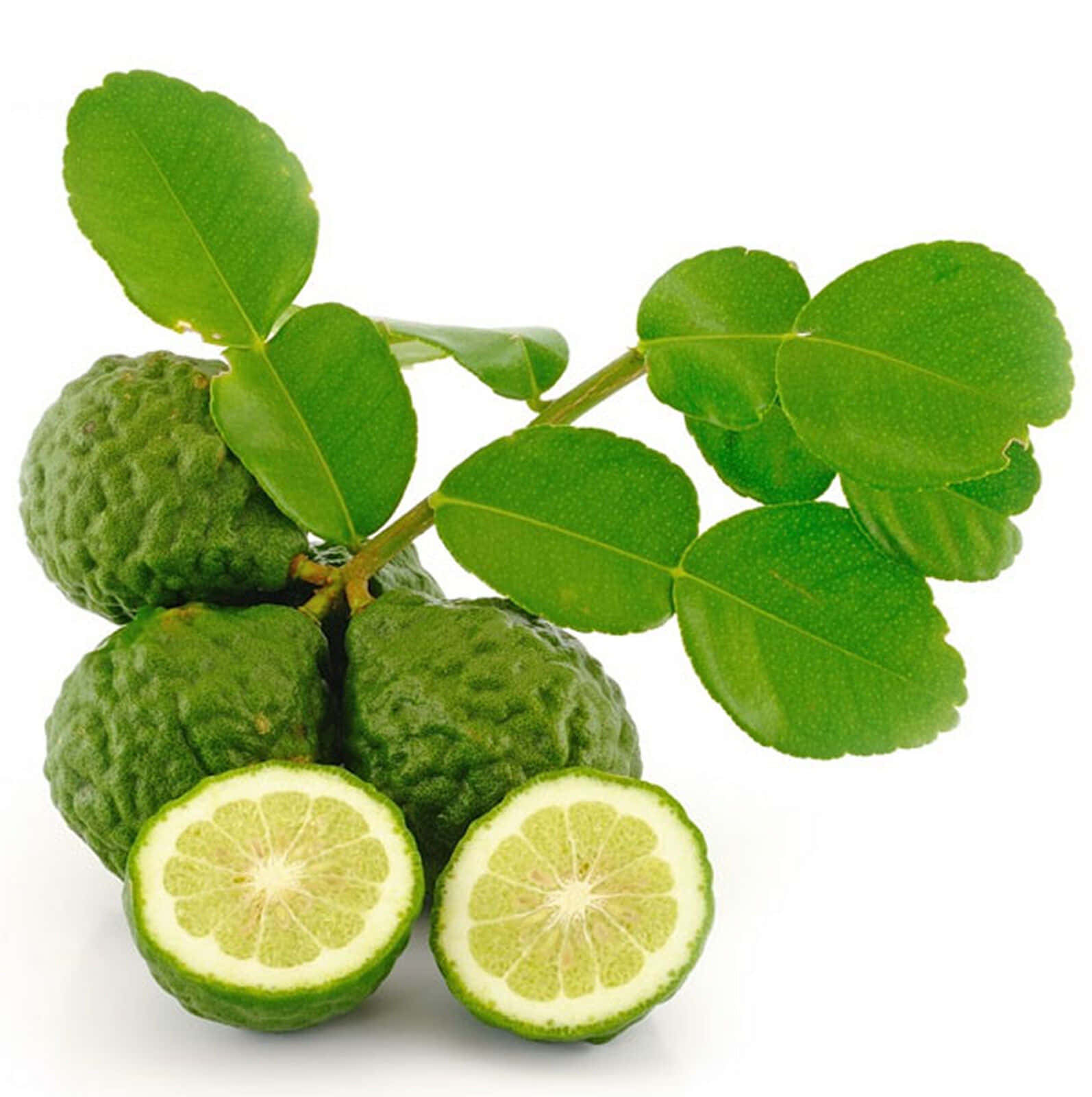 kaffir lime, vibrant green leaves, juicy segmented pulp, HD Phone Wallpaper