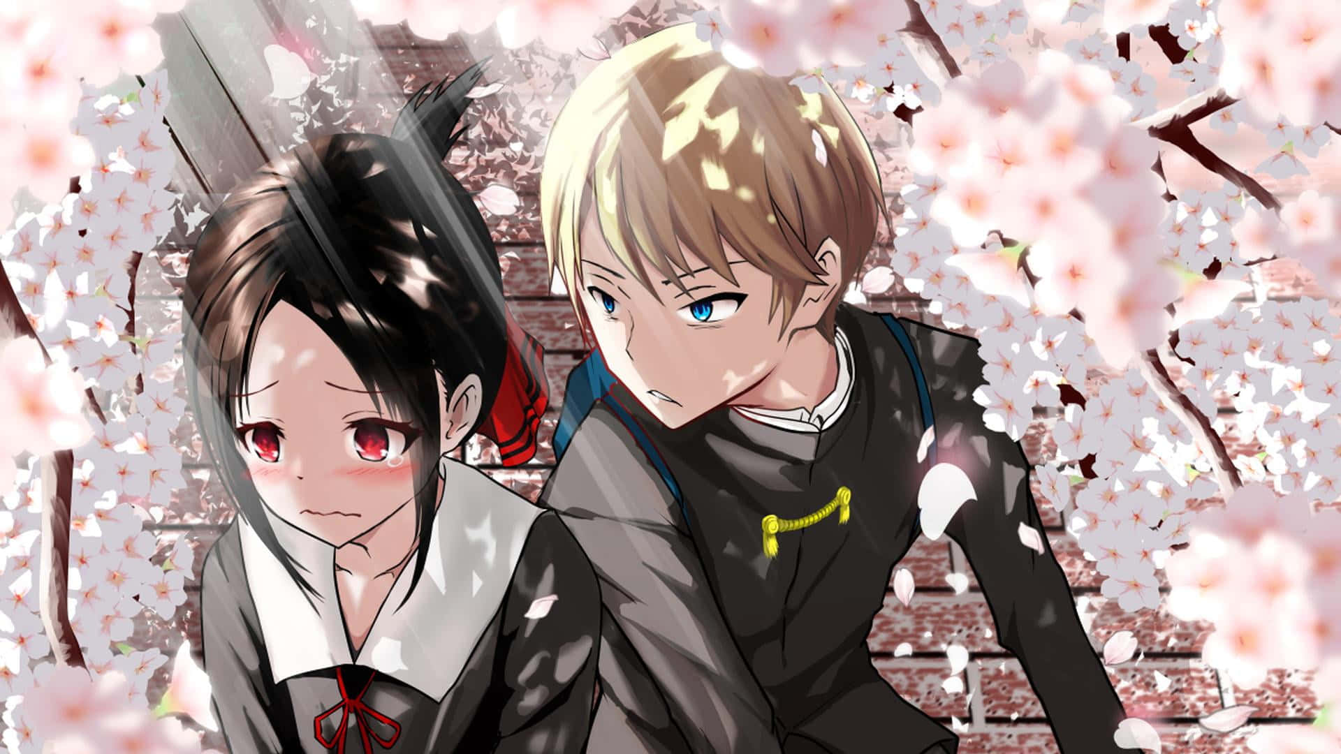 Kaguya Sama Love Is War, cherry tree, pink petals, Full HD Desktop Wallpaper