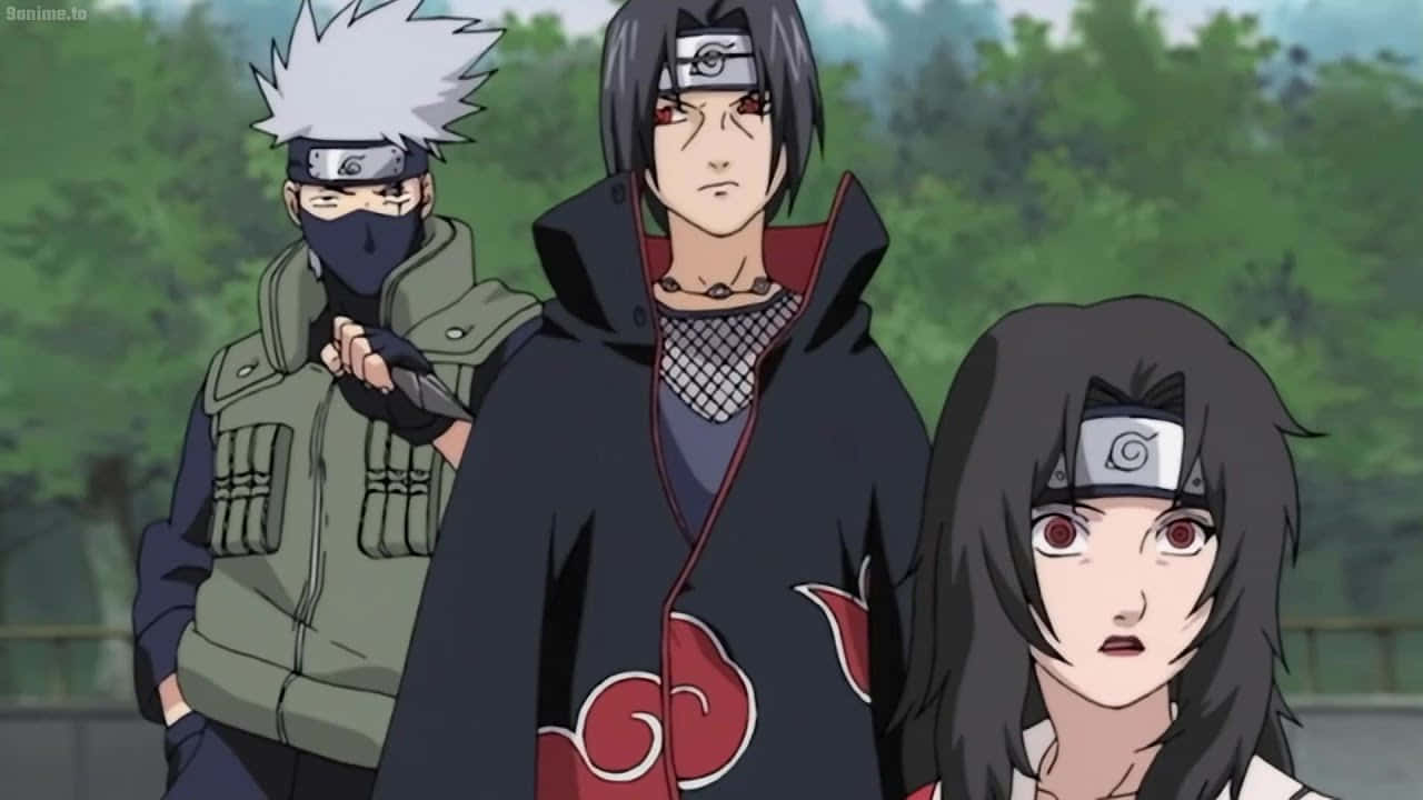Kakashi, Itachi, forest, HD Desktop Wallpaper