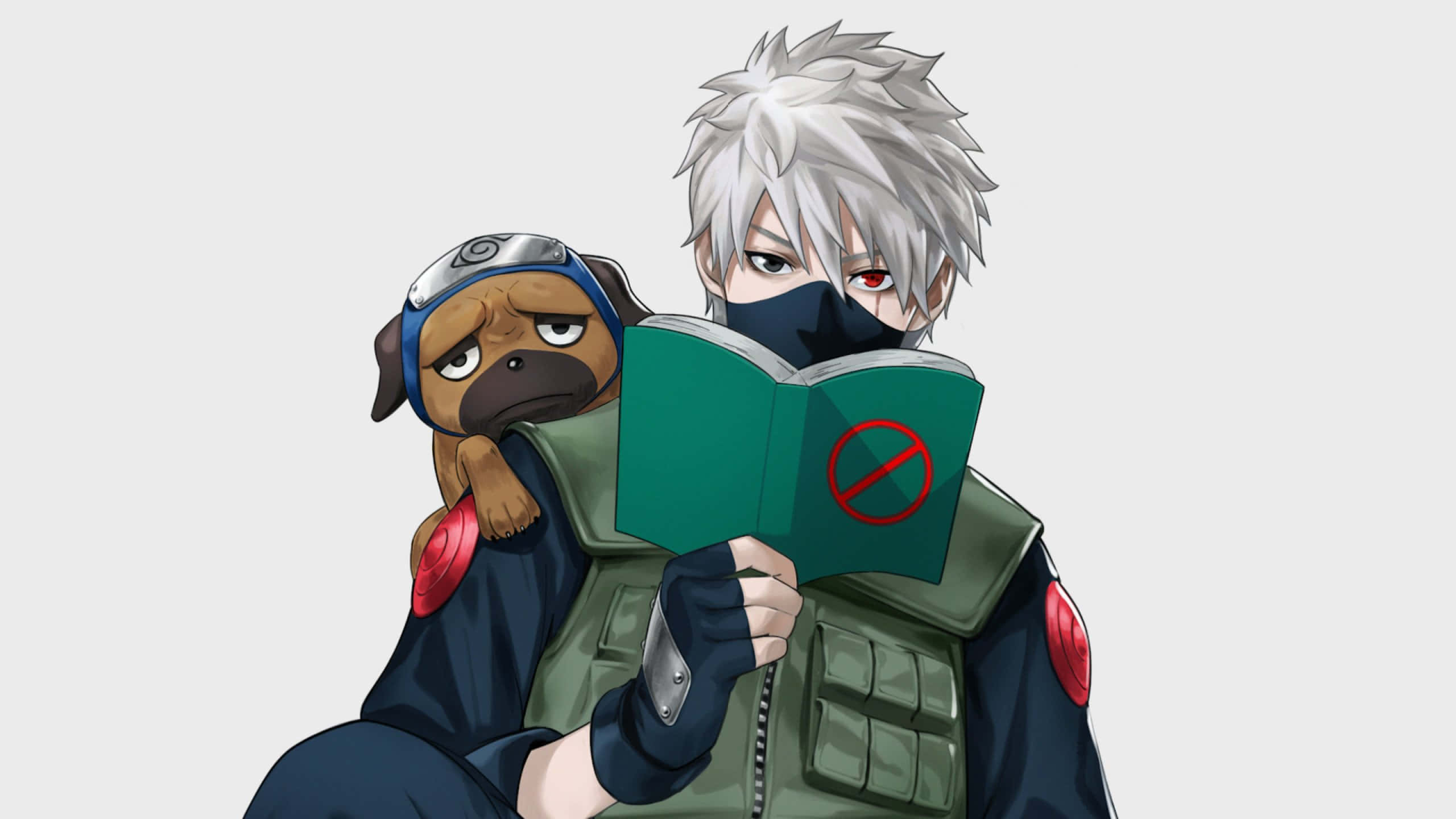 Kakashi Hatake Kid, silver-haired masked ninja, green book with a red circle, 2K Desktop Wallpaper