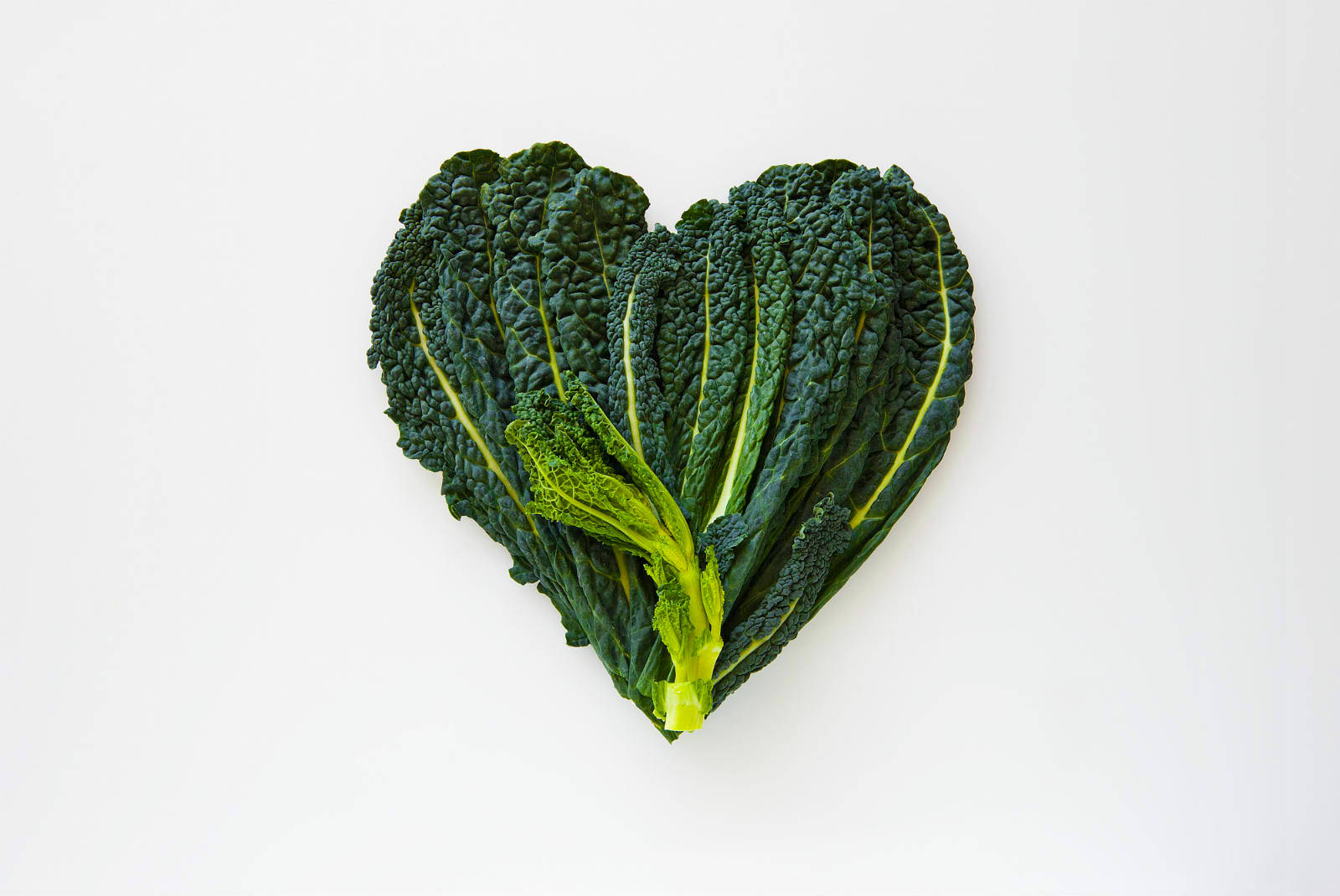 heart-shaped kale leaf, dark green curly kale, bright yellow veins, HD Desktop Wallpaper