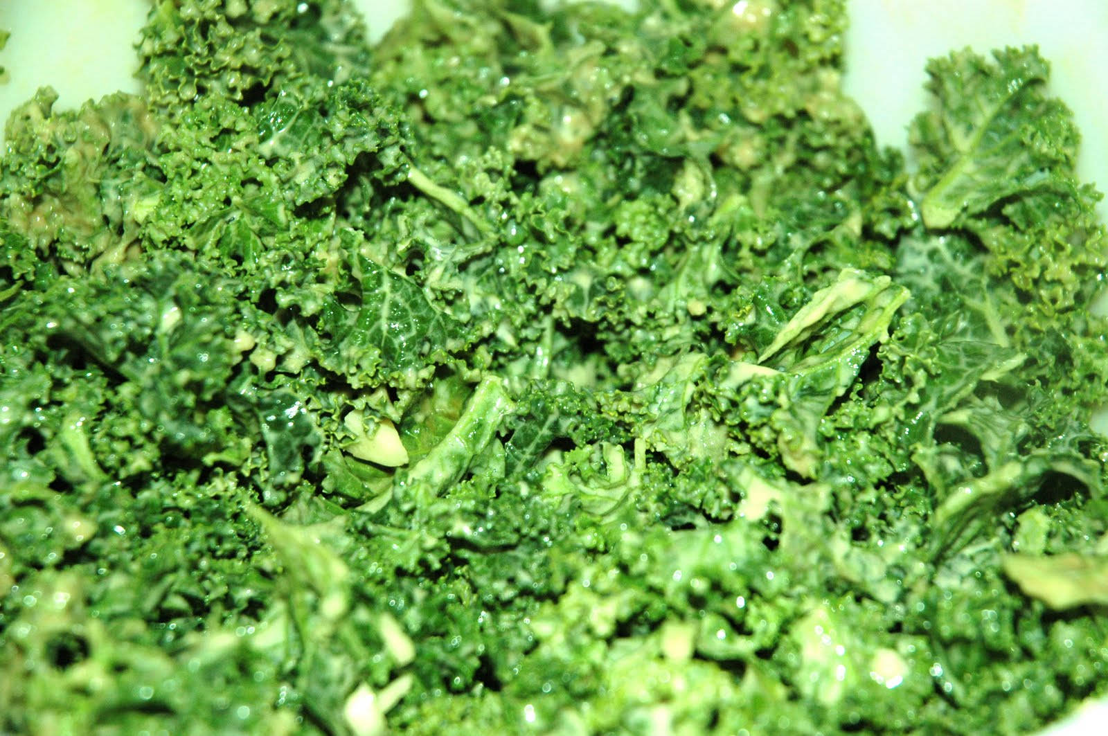 kale leaves, vibrant green, water droplets, HD Desktop Wallpaper