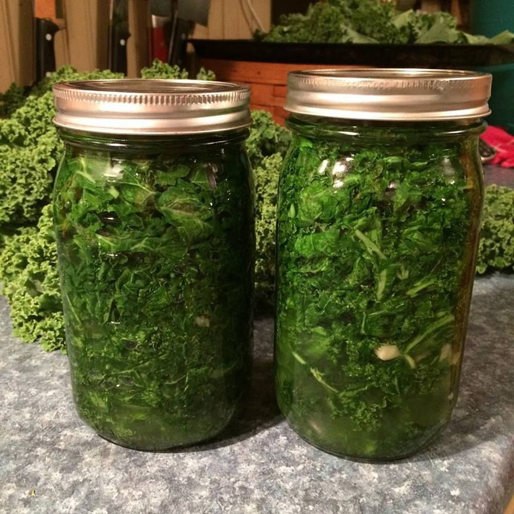 pickled kale jar, glass jars, vibrant green fermented kale, SD Desktop Wallpaper