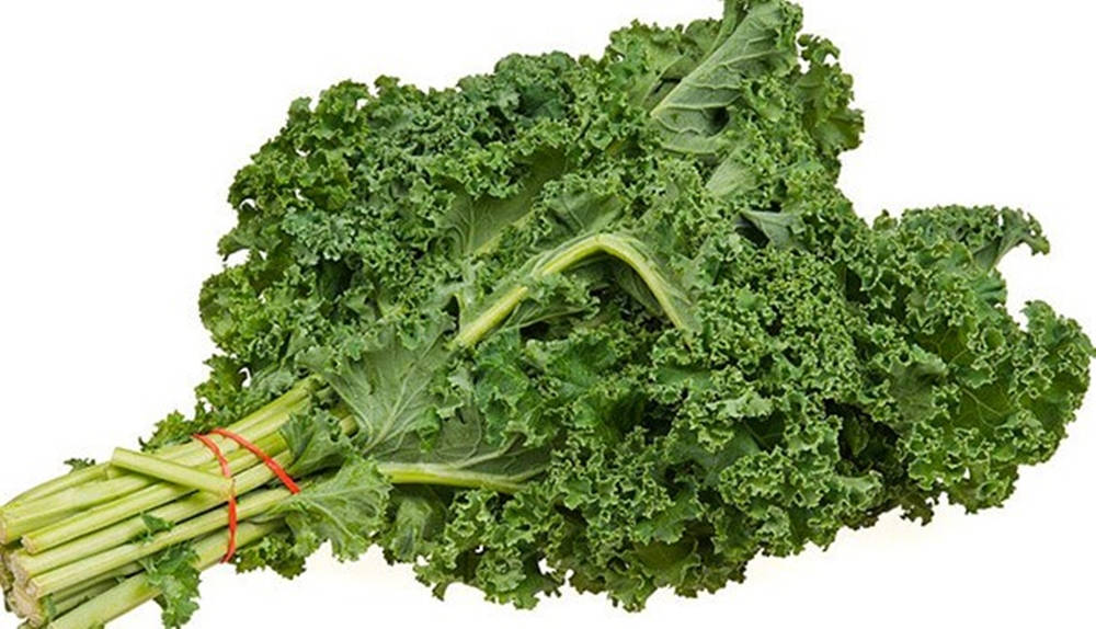 kale, curly kale, vibrant green leaves, SD Desktop Wallpaper