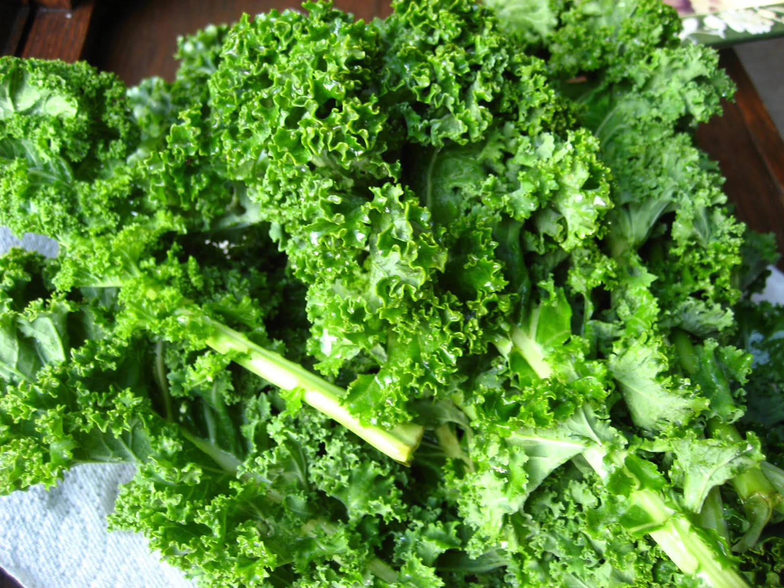 fresh curly kale, ruffled edges, green stems, HD Desktop Wallpaper