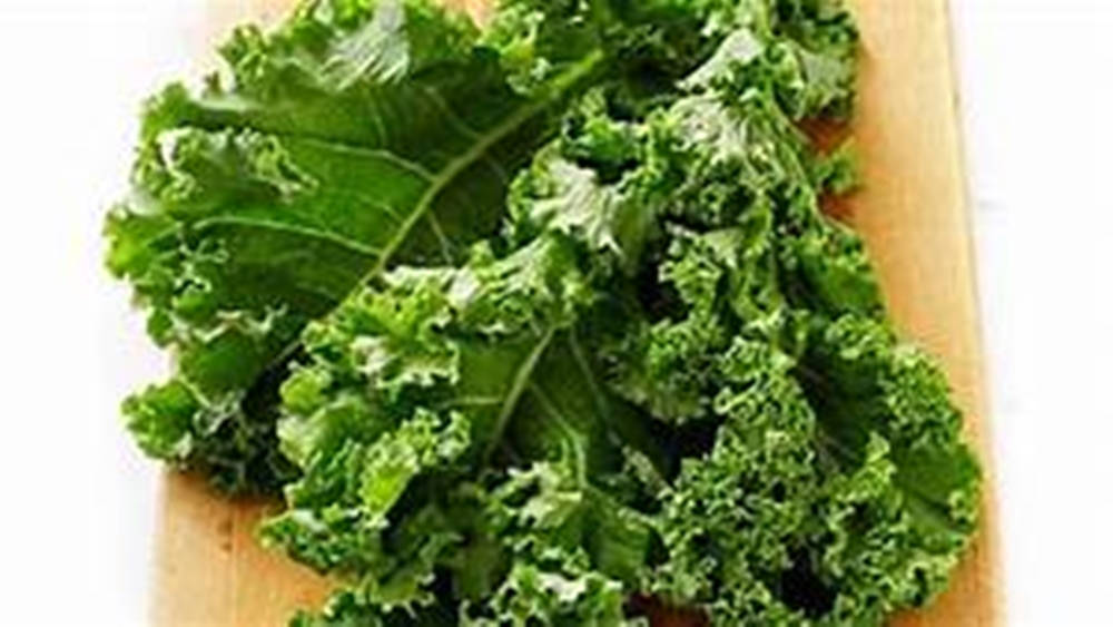 kale, curly kale, vibrant green, SD Desktop Wallpaper