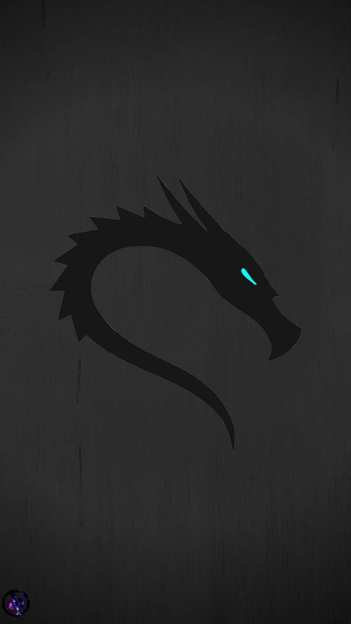 Kali Linux, blue eyed dragon, sleek black dragon silhouette, HD Phone Wallpaper