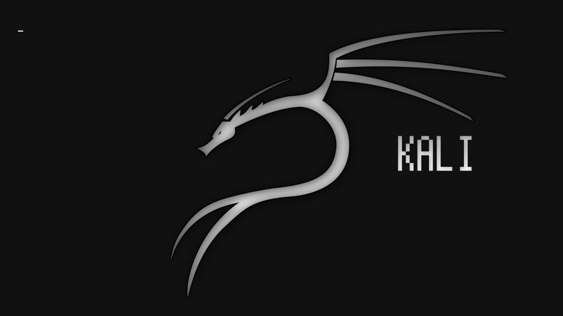 Kali Linux, silver dragon logo, pixelated KALI text, Full HD Desktop Wallpaper
