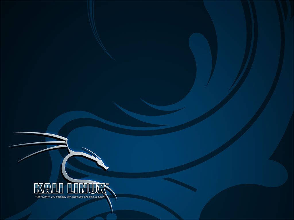 Kali Linux, blue, silver dragon logo, SD Desktop Wallpaper