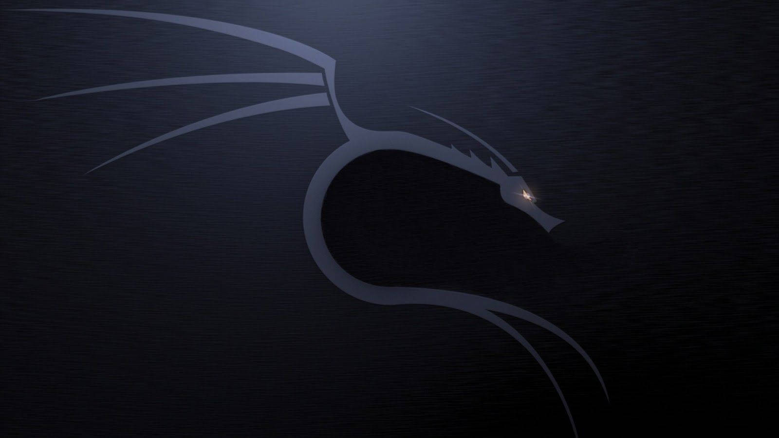 Kali Linux, silver dragon, glows with a single bright eye, HD Desktop Wallpaper