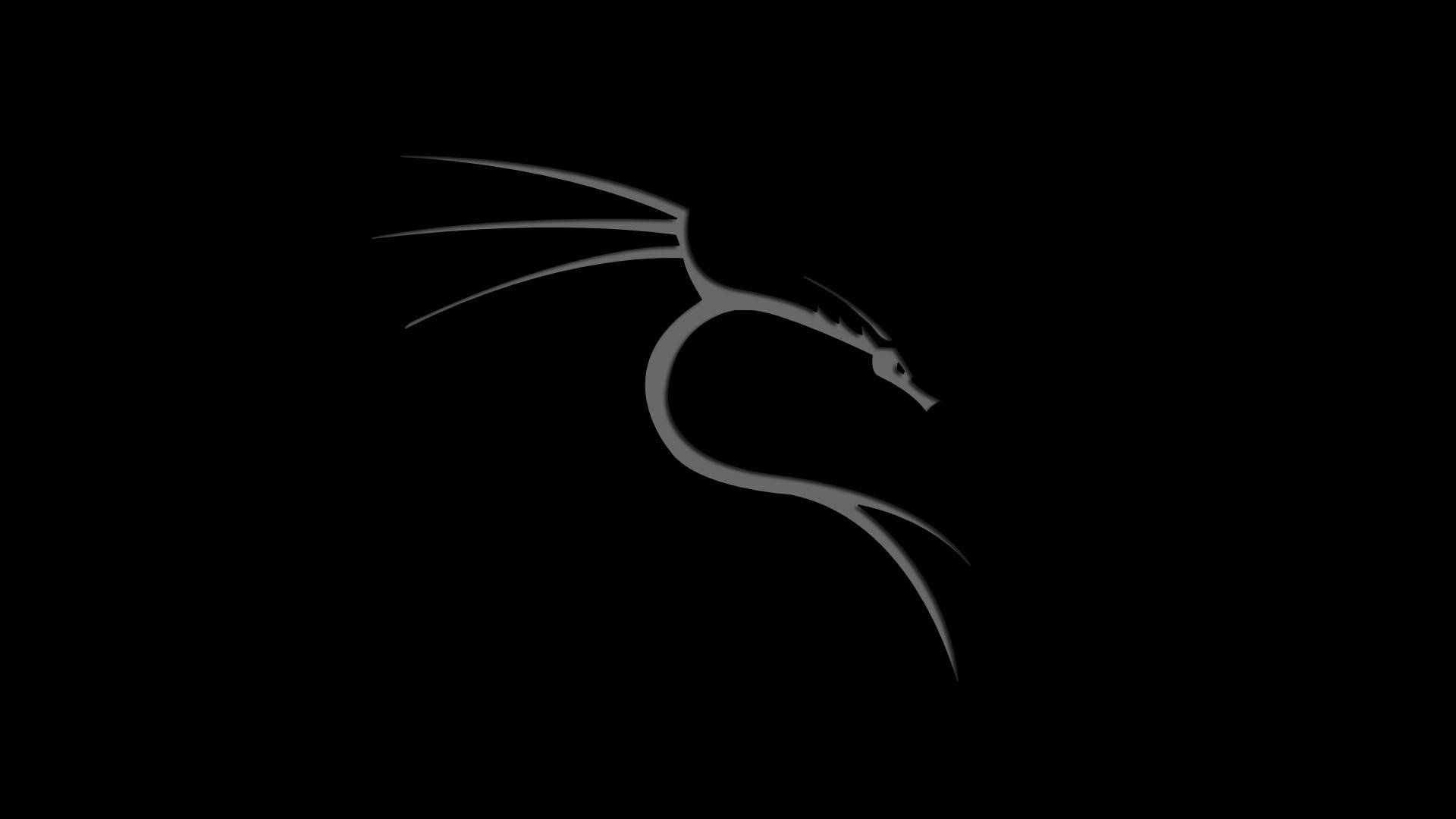 Kali Linux, dragon, black, Full HD Desktop Wallpaper